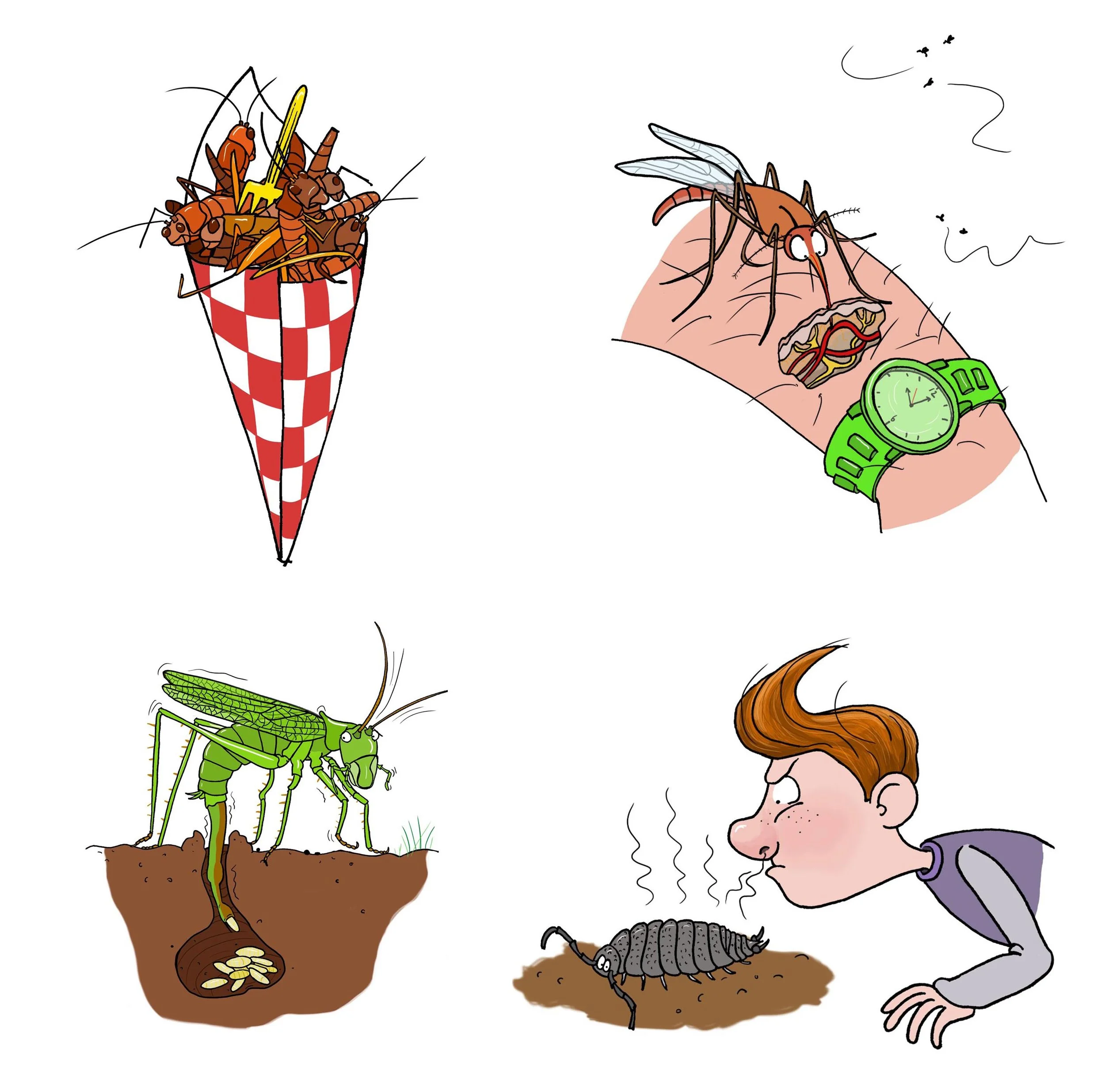 beestjes.jpg