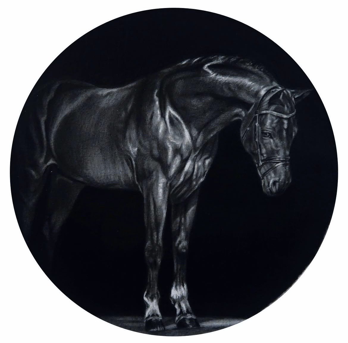 Horse Portrait- Pencil