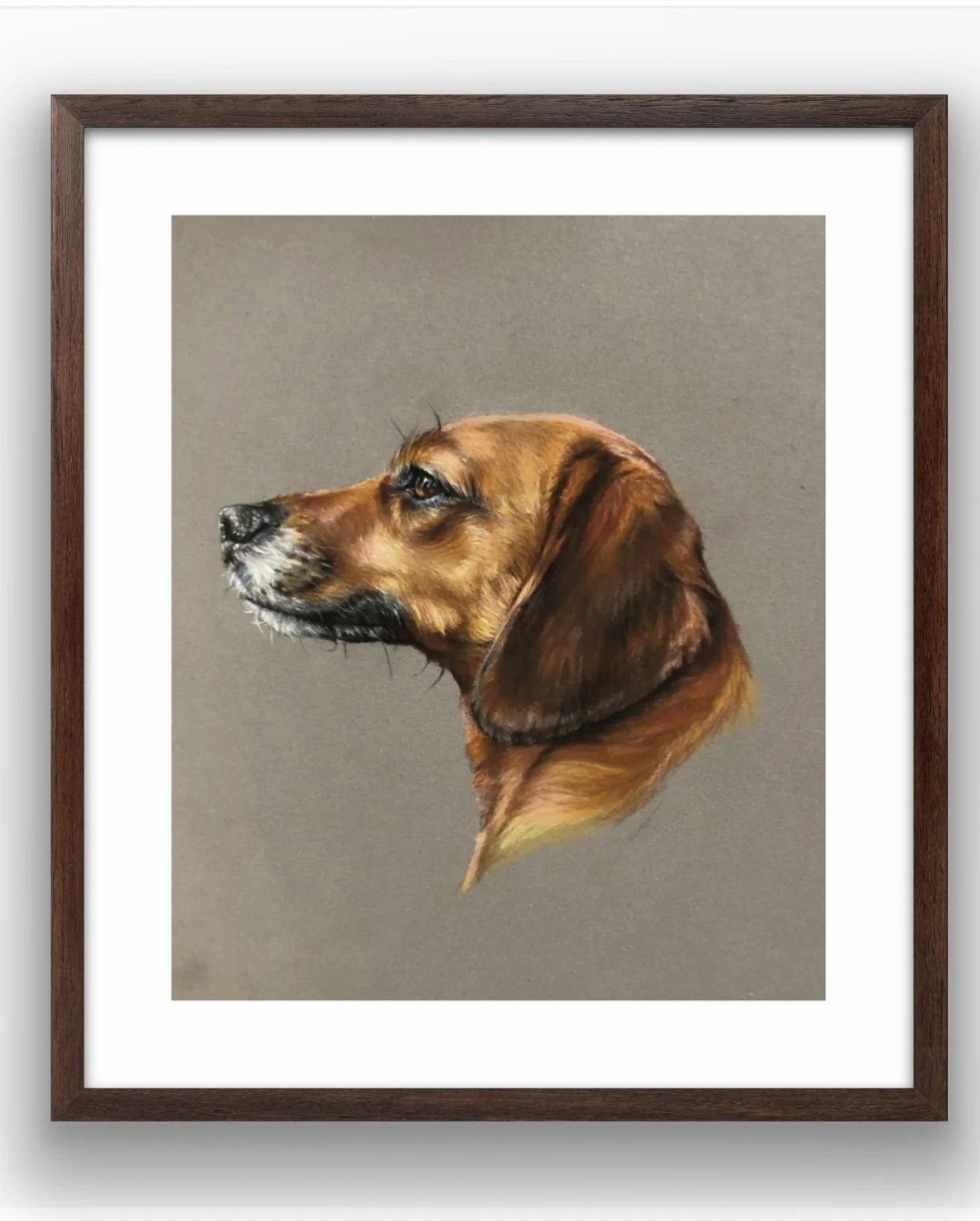 Pitt Pastel Pet Portrait