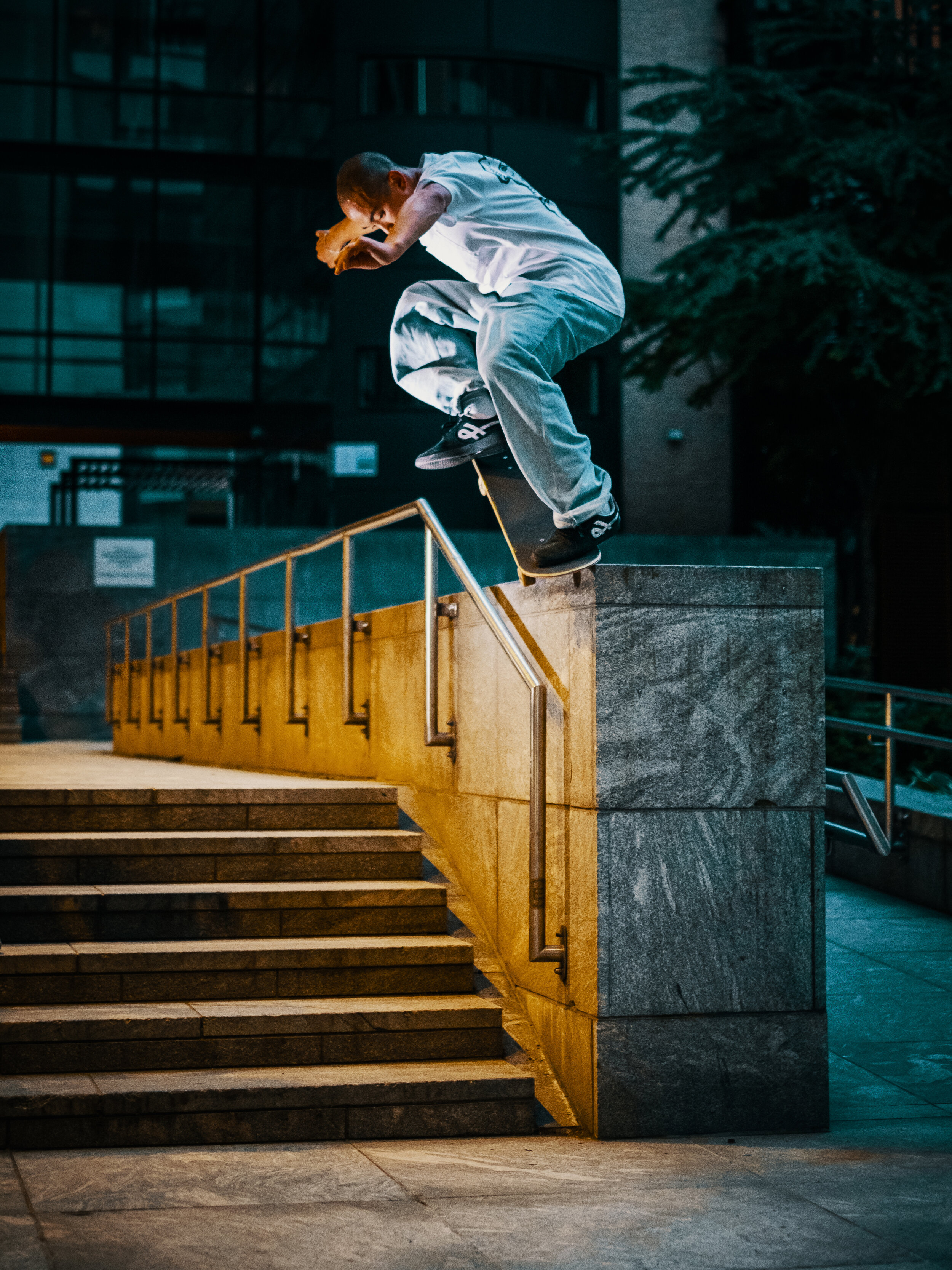 Vi Duc - BS Nosegrind Revert
