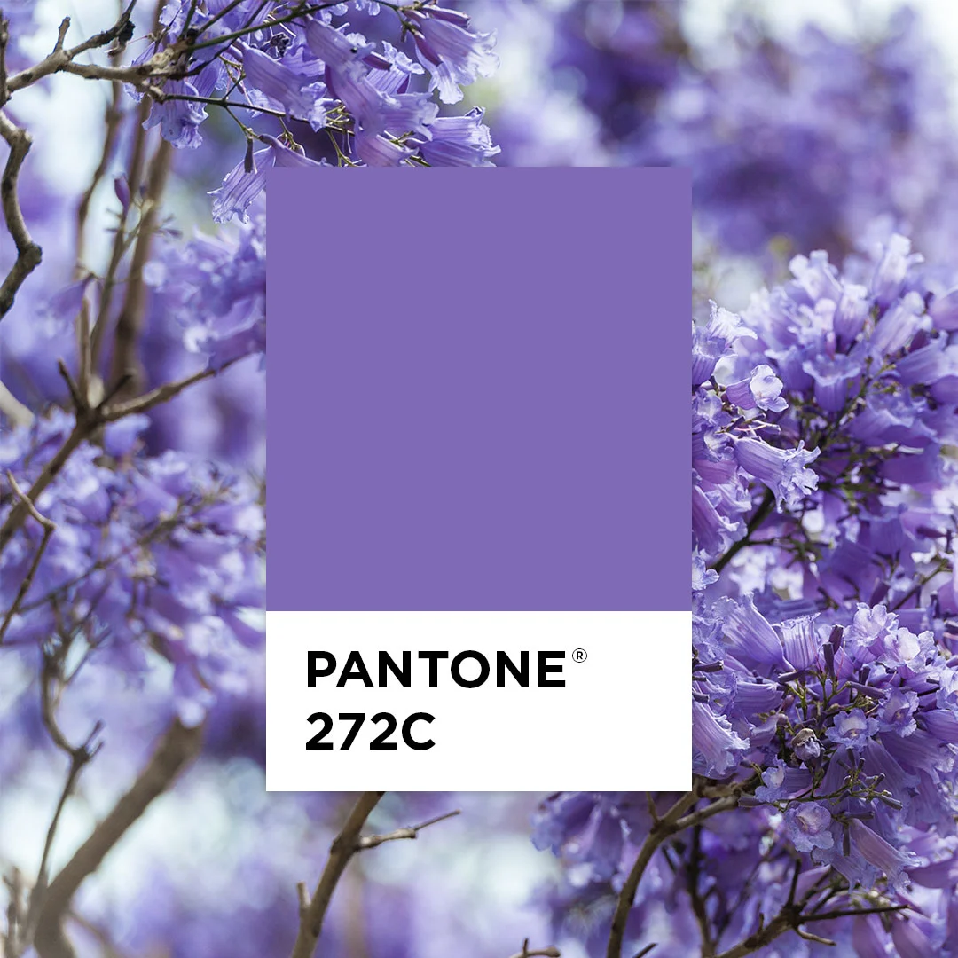 MC-SocialMedia-Pantone.jpg