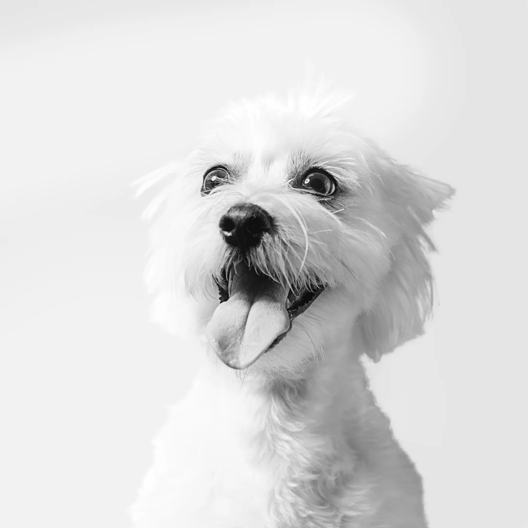 Let's not sniff around the bush...(read more)