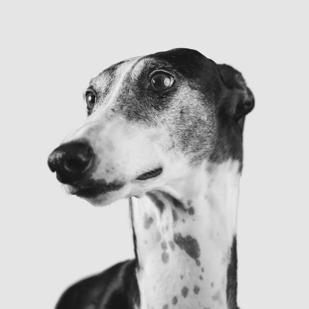 Office Long-Boy... (read more)