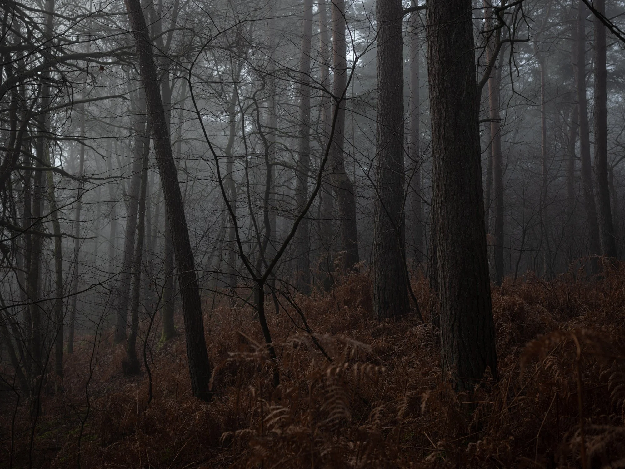 L1050965-Verbessert.jpg