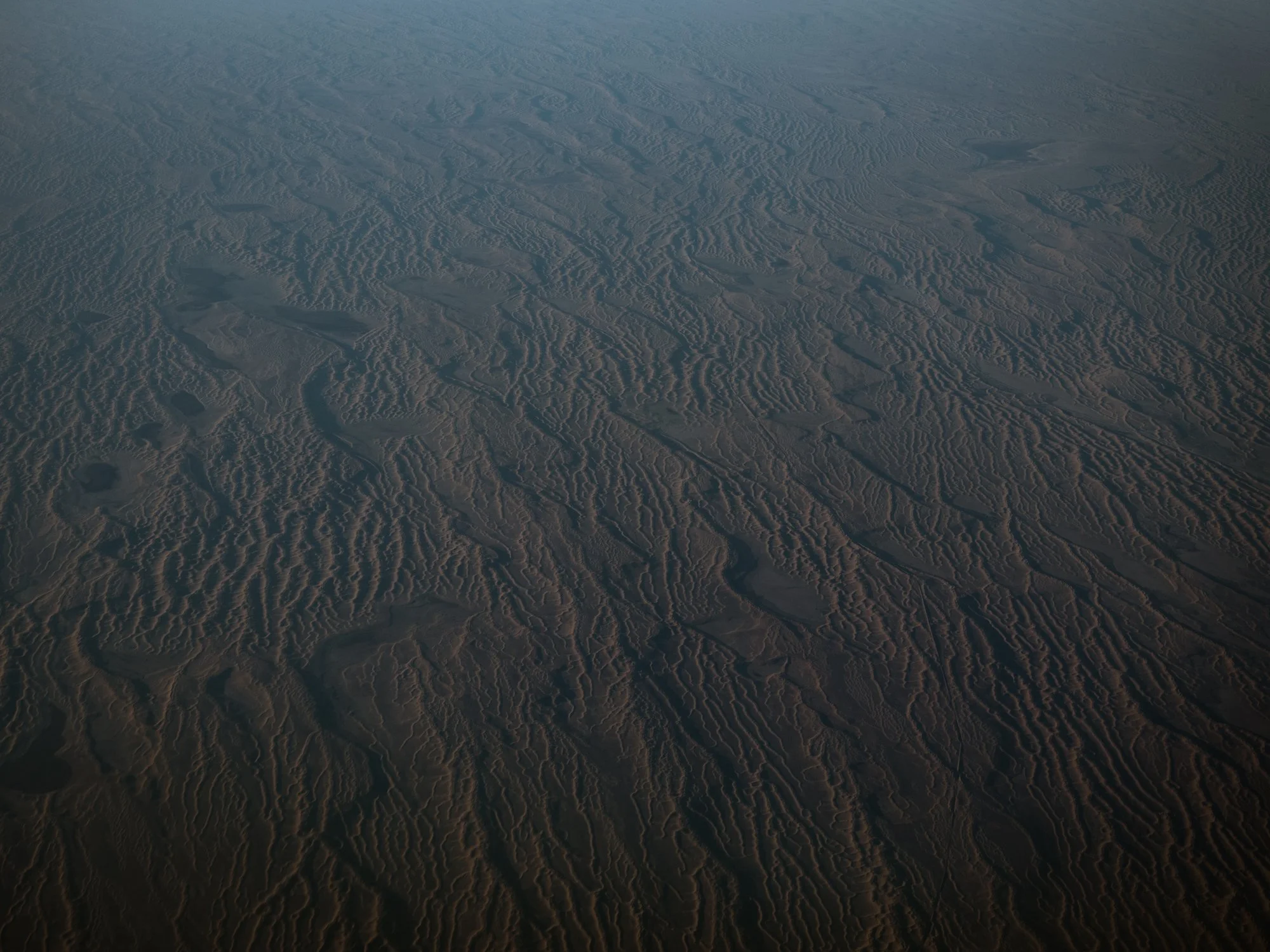 L1040839.jpg