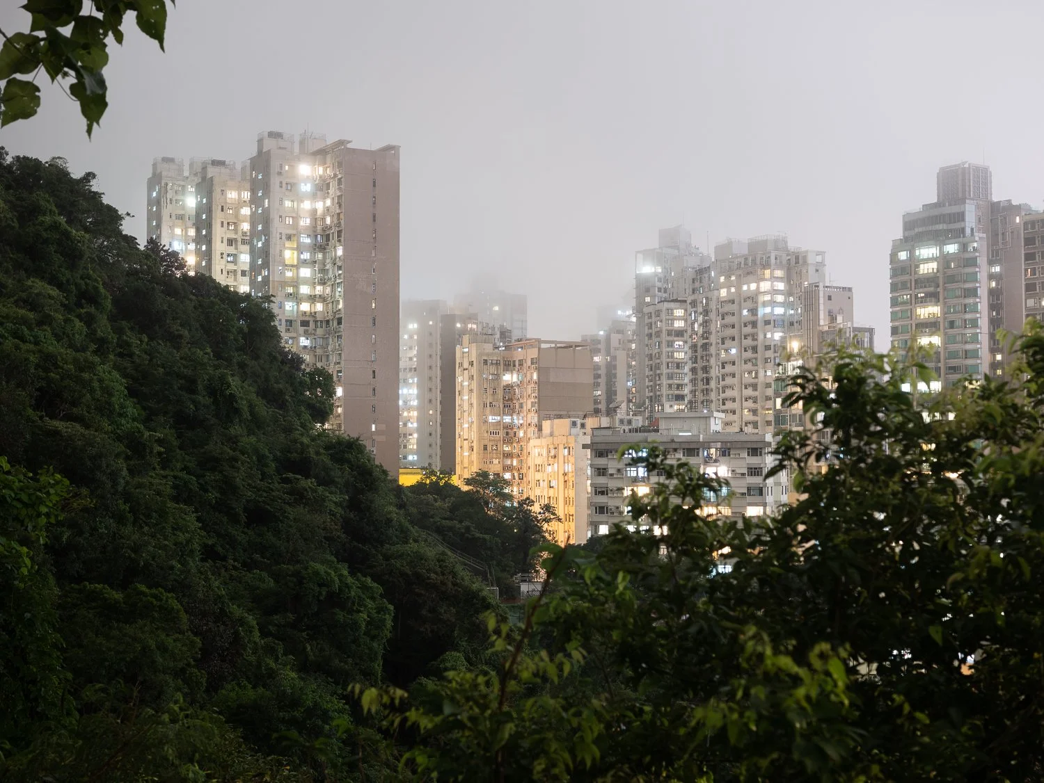 L1090376.jpg