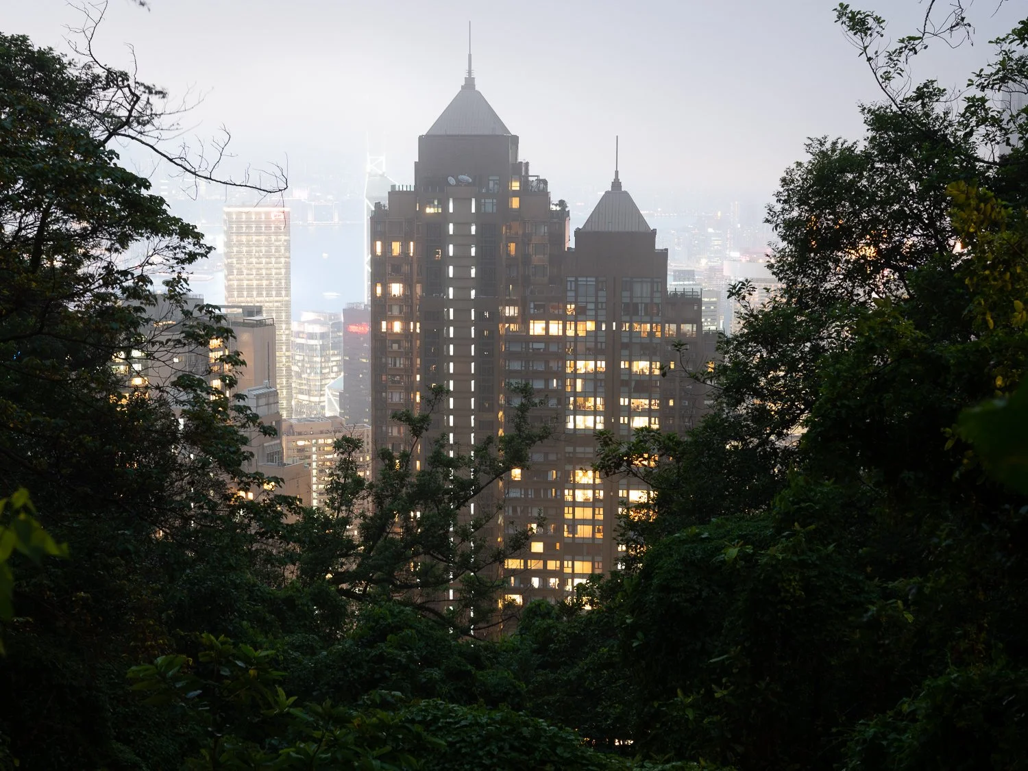 L1090368.jpg