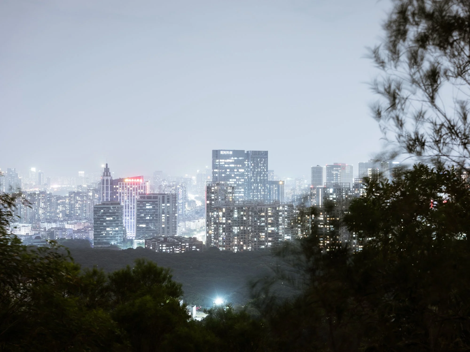 L1050494.jpg