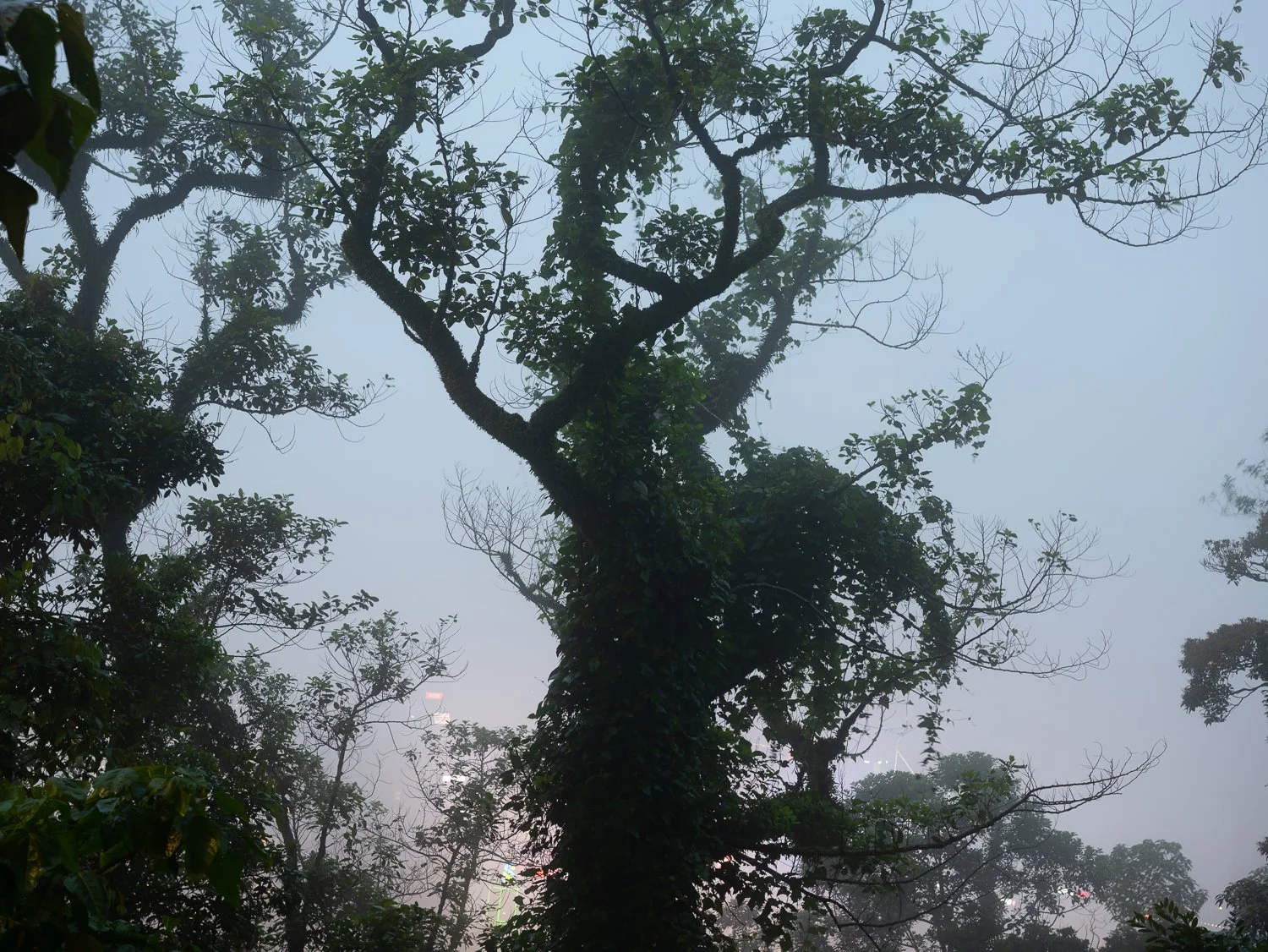 L1090364.jpg