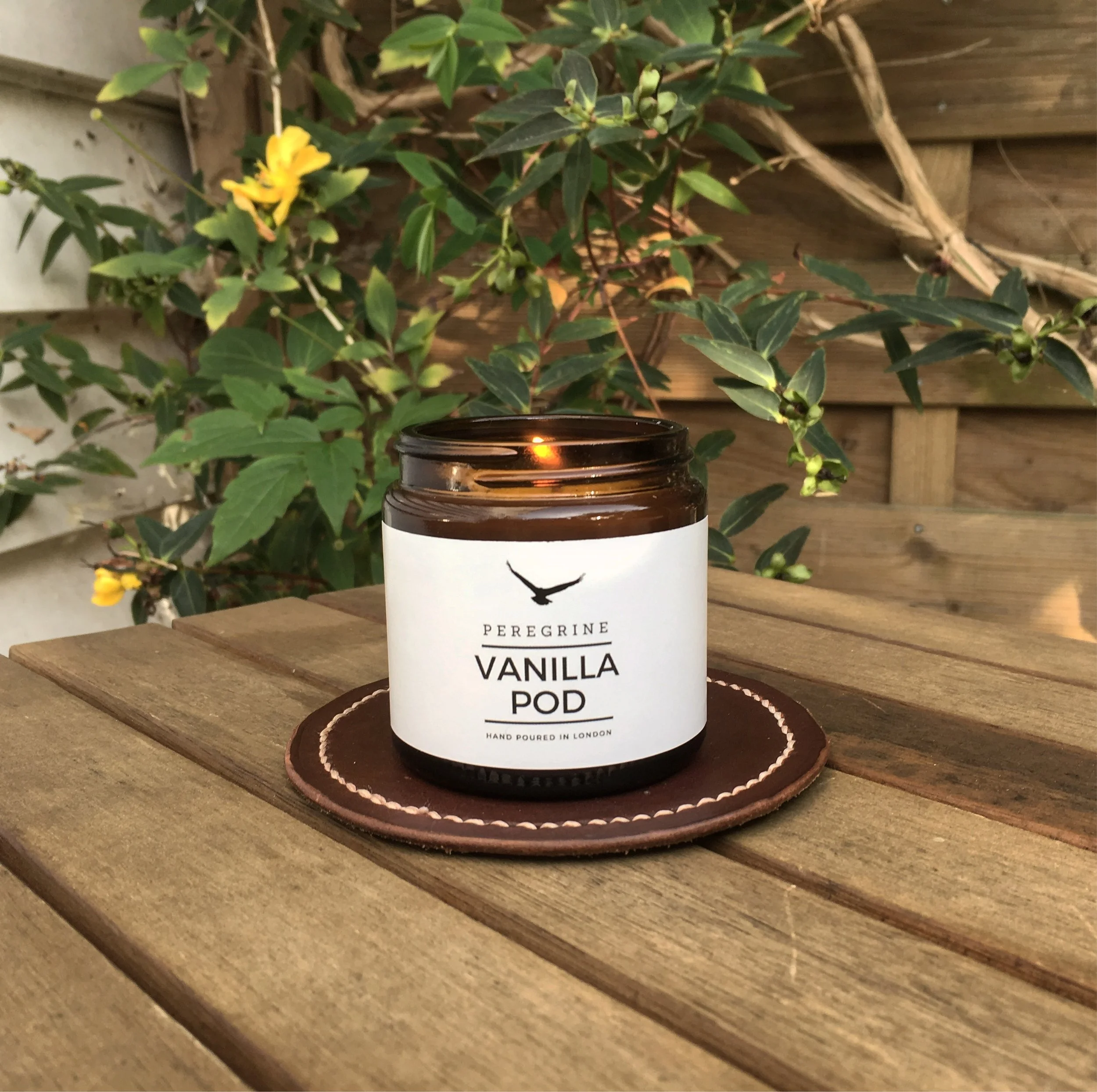 299FD3F5-AA67-46A1-BBBD-B9E3BA0B40A0