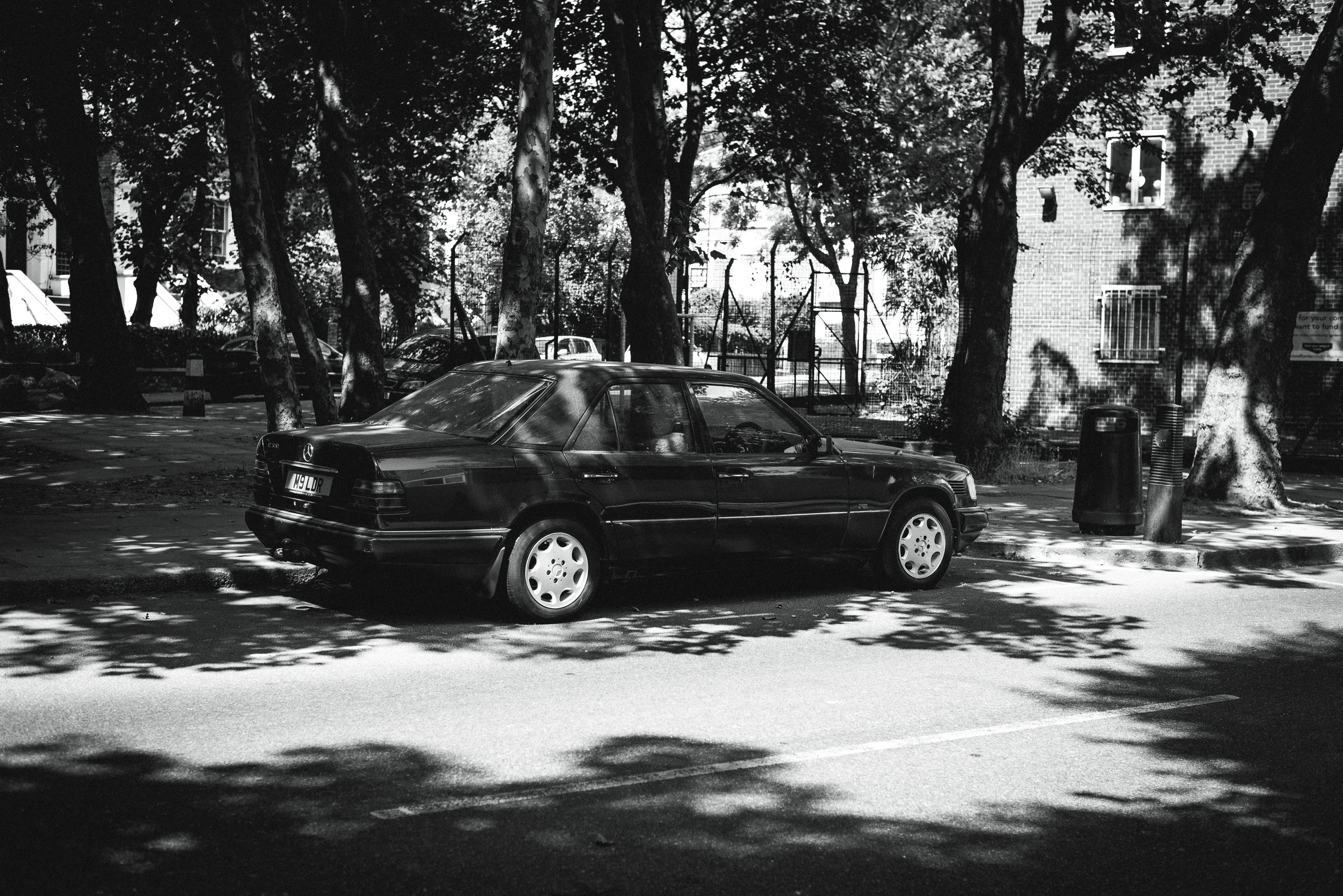 DSC_0284.jpg