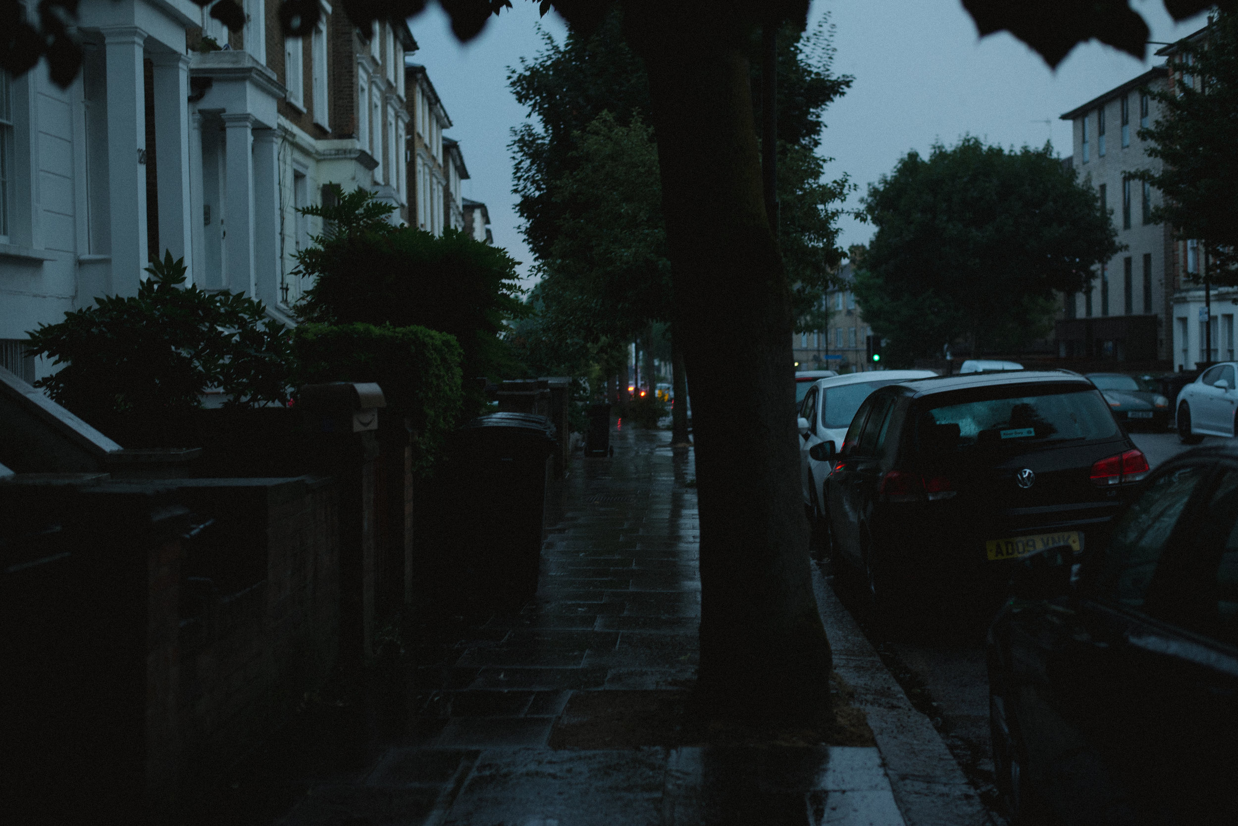 DSC_0528.jpg