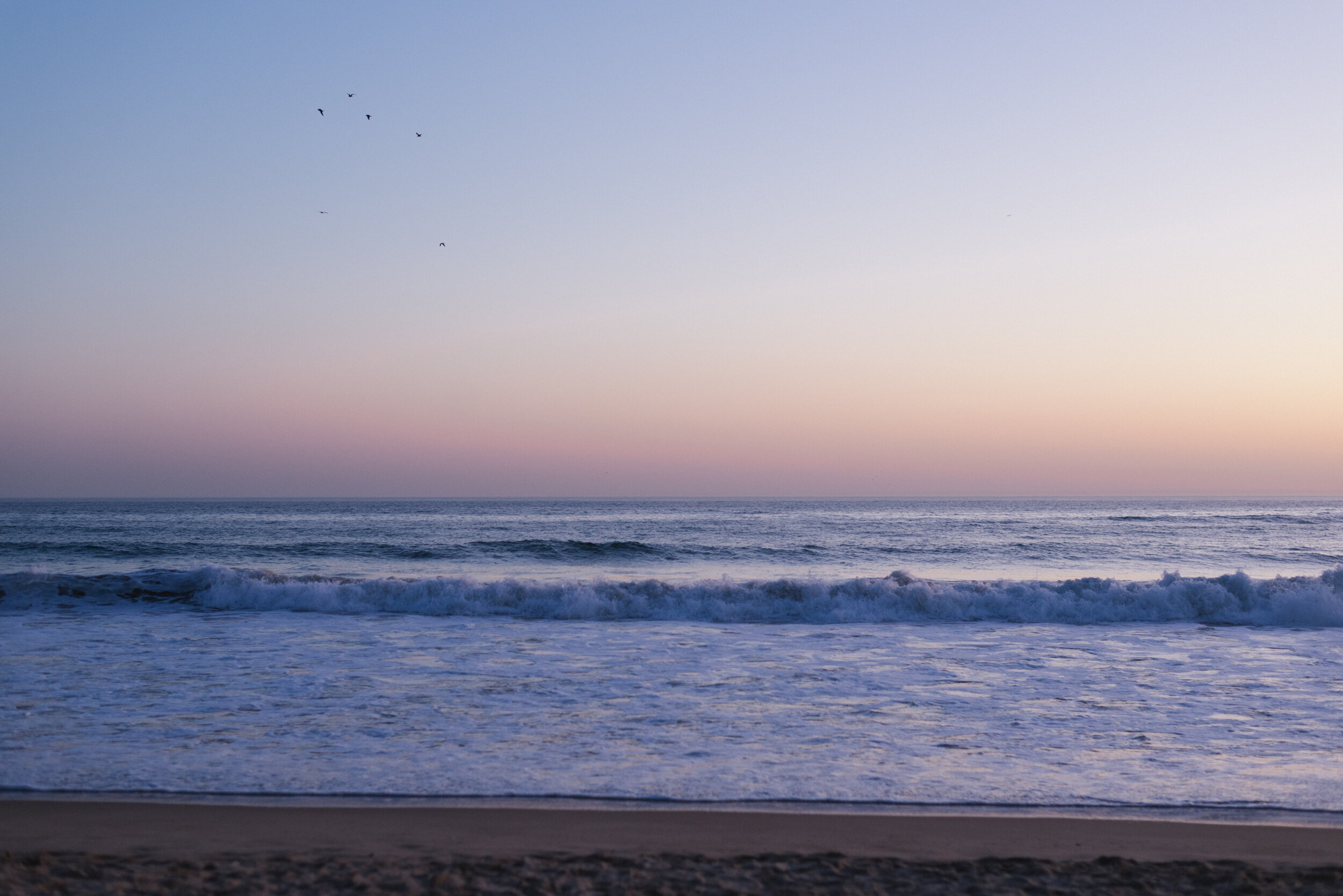 DSC_0121.jpg