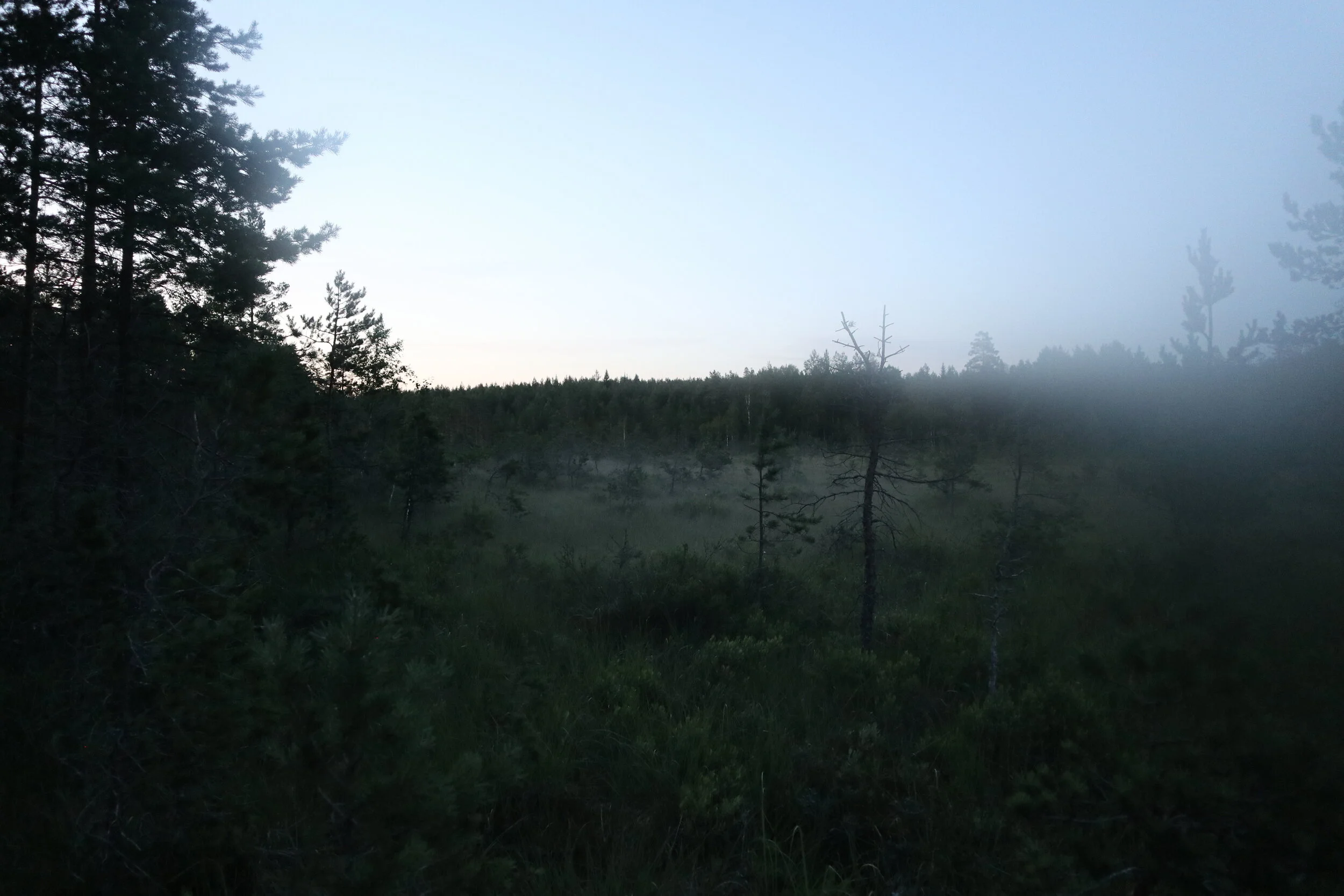 S T I L L A  F Ä R D 