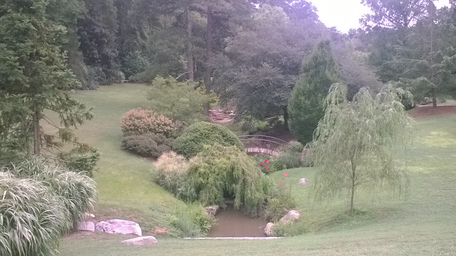 One of my favorite spots in the gardens, because it looks how I imagine the Shire to look
