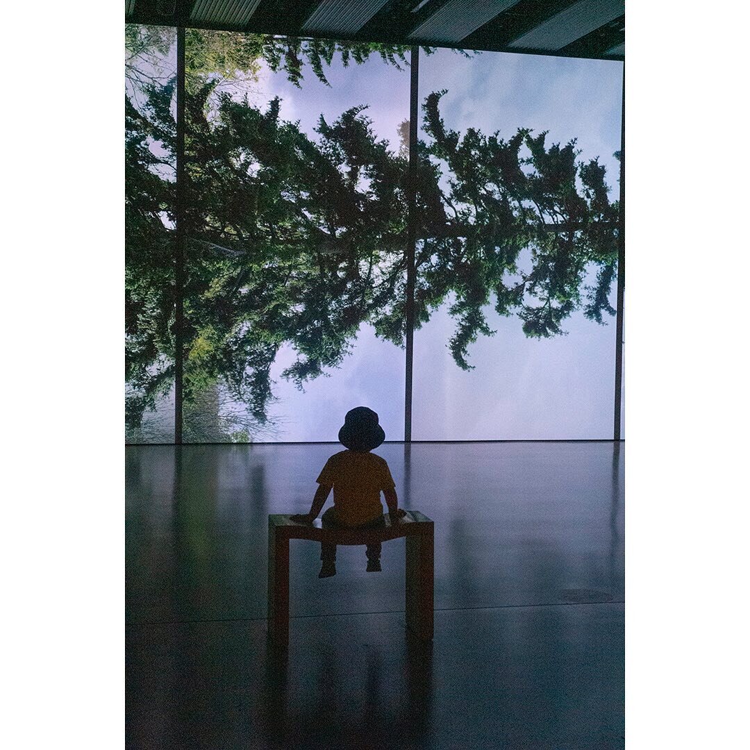 Having gotten out of the good habit of going to exhibitions, it was amazing to take in &lsquo;Among The Trees&rsquo; at the Hayward Gallery @southbankcentre last weekend. Alongside the sculpture, video, installations: photography including @sally_man