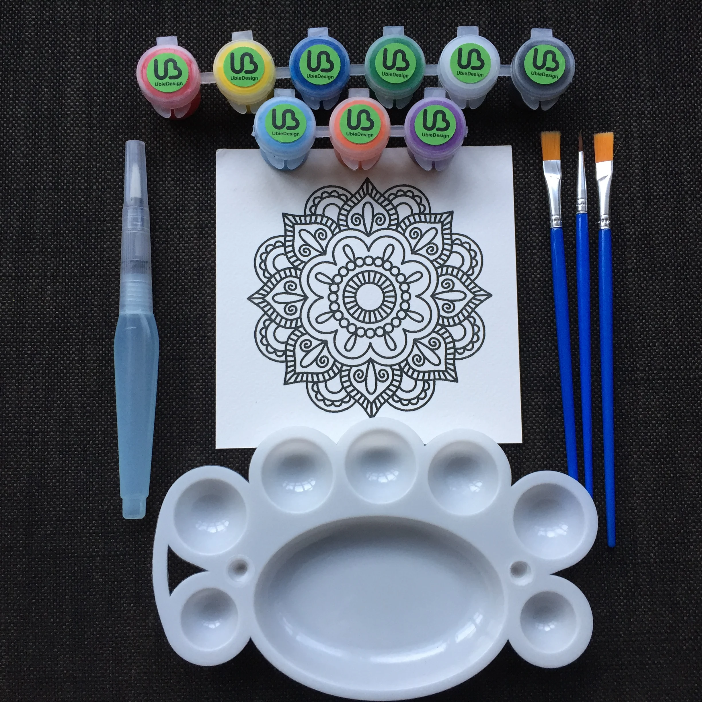 Acrylic Paint Pot and Brush Set