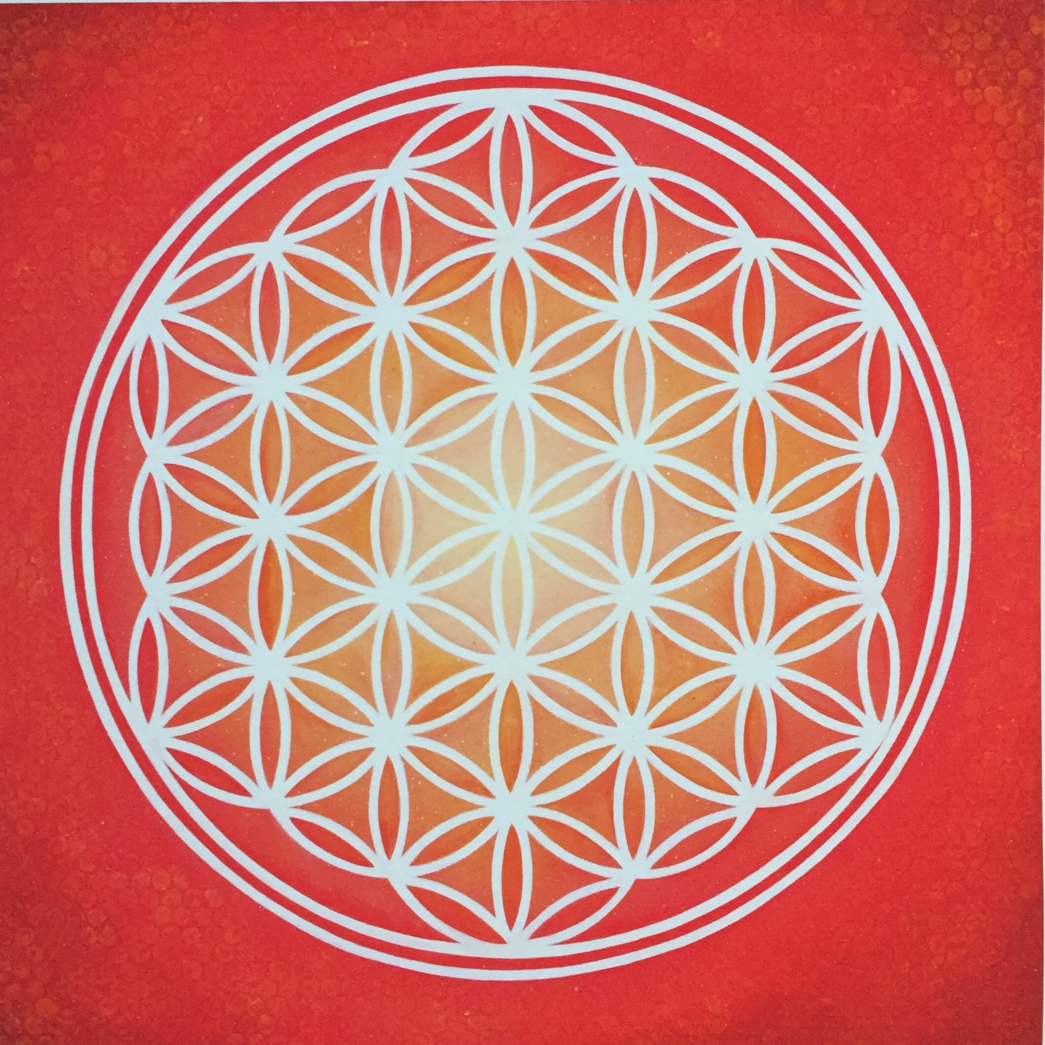 'Flower of Life'