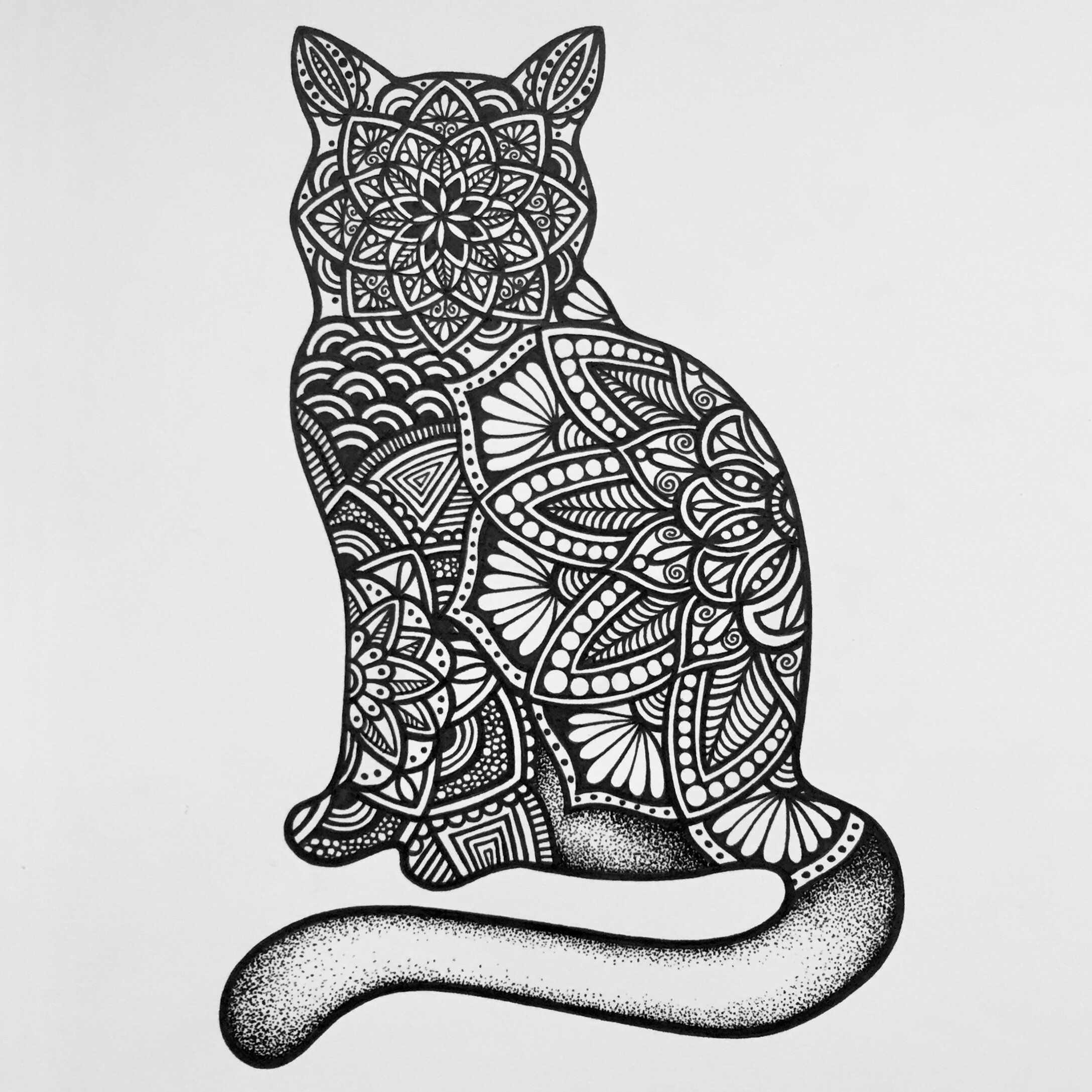 'Mindful-cat'
