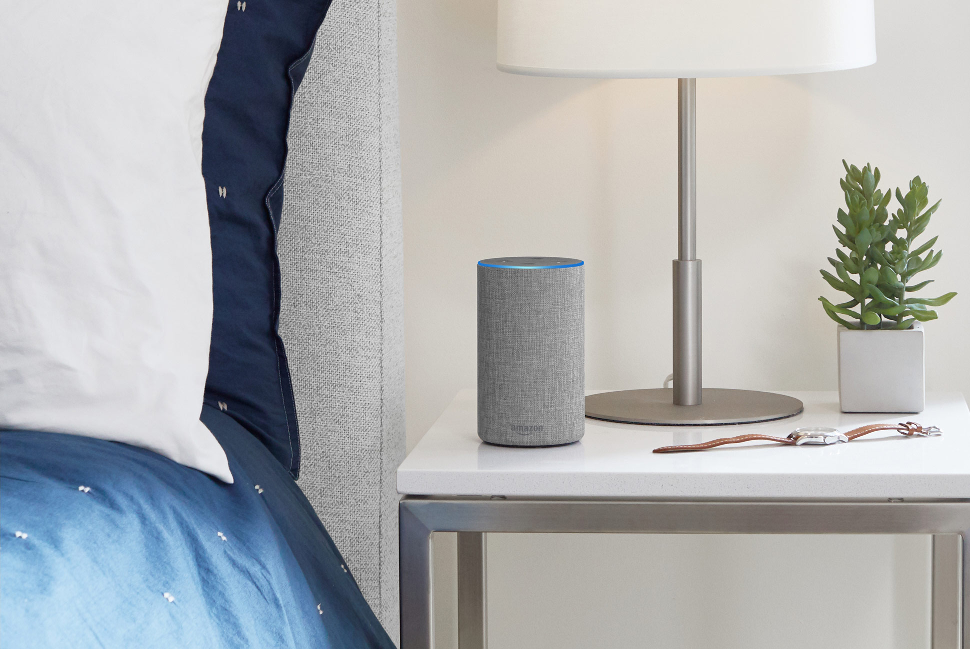 Echo3.jpg