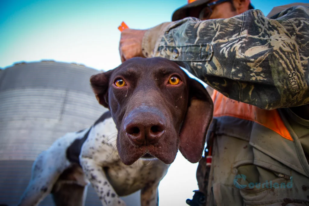 Pheasant Hunt-LOGO-141108-003.jpg