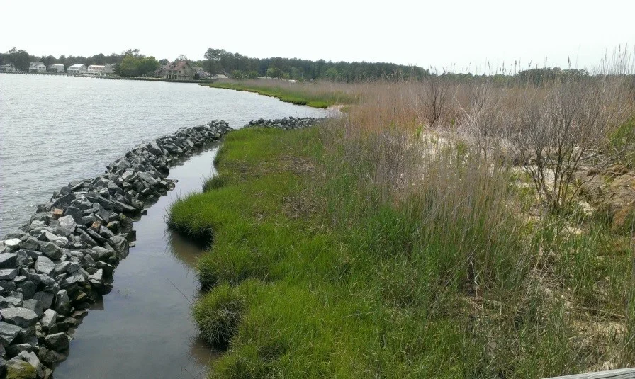 permittingshoreline.jpg