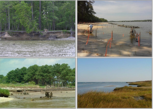 Webinar: Expert Panel Report on Shoreline Management Practices in the Chesapeake Bay Watershed