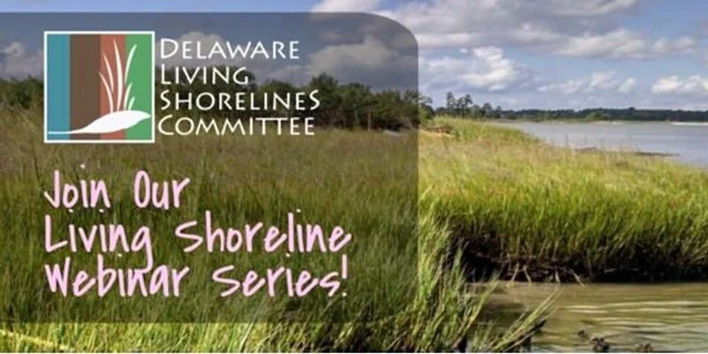 Webinar: Increasing Coastal Resilience to Sea-level Rise through Natural Infrastructure and Beneficial Use of Dredged Materials