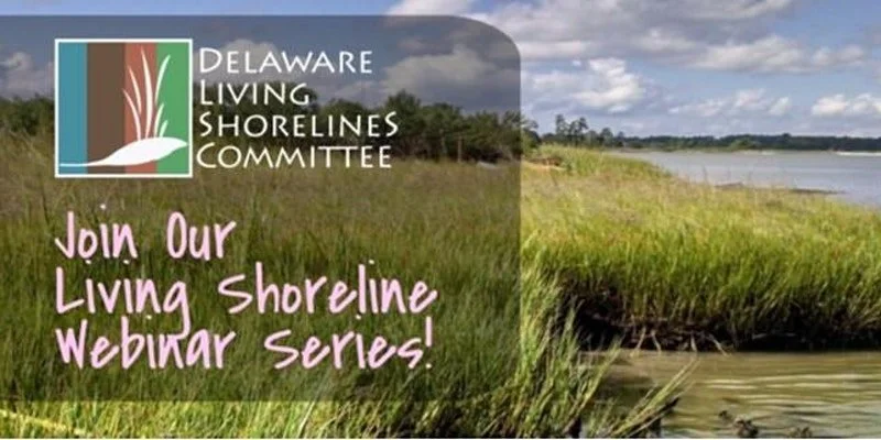 Webinar: Gandy's Beach Project in New Jersey