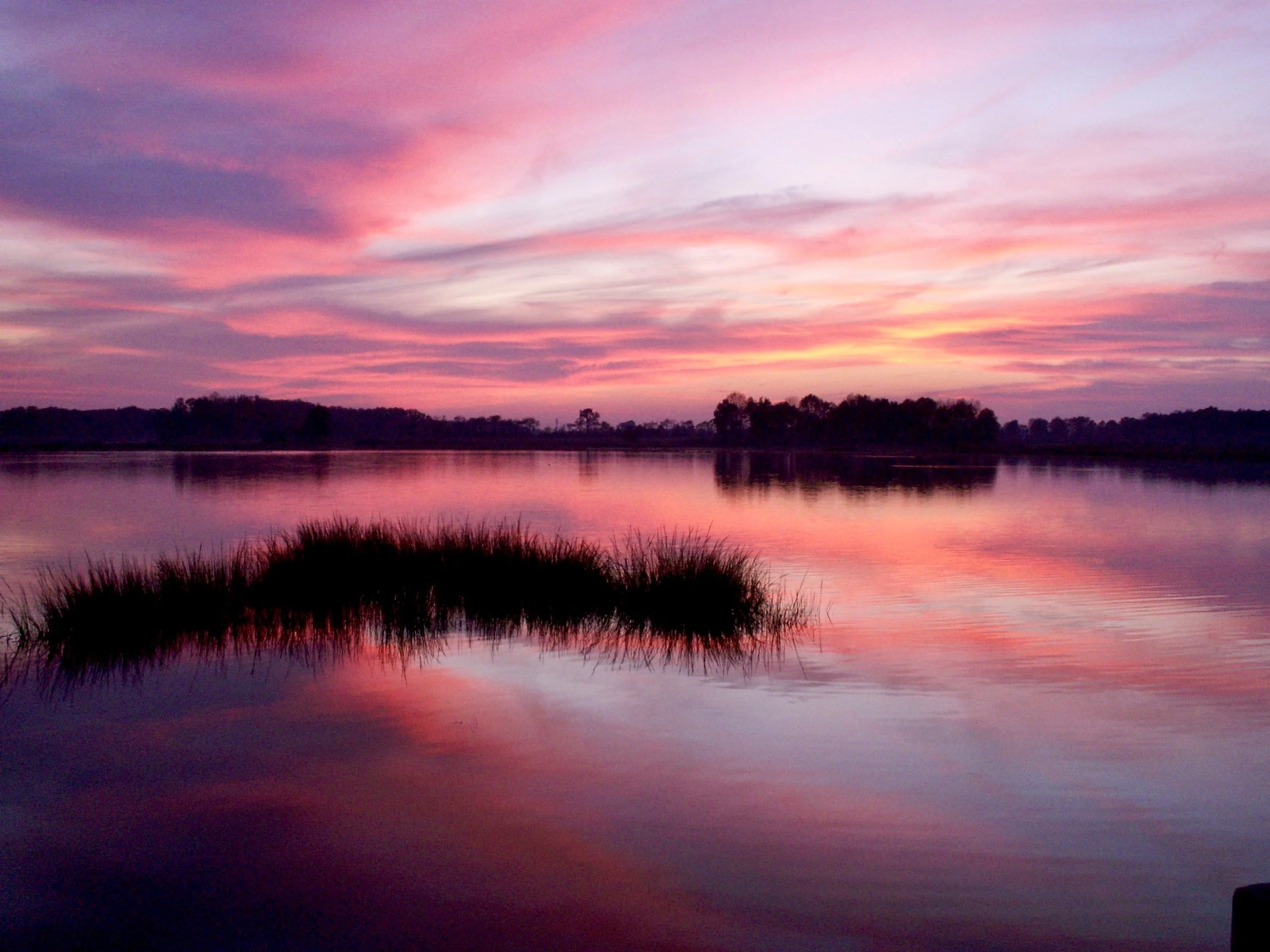 Tidal wetland purple sky.jpg