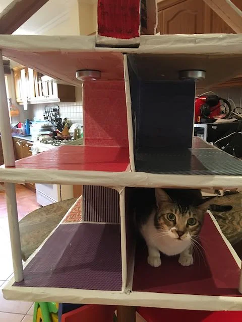 dollhouse (1).jpg