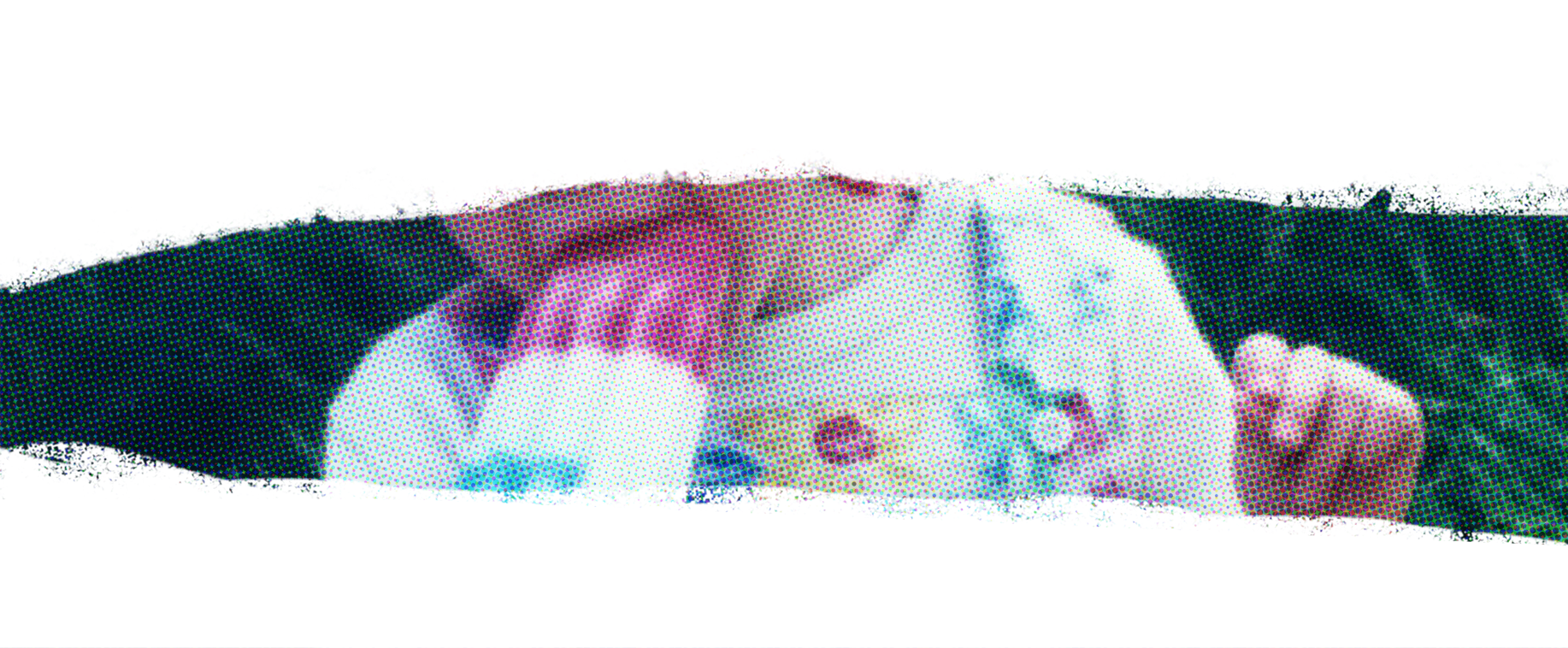 About_Header Experiment_C.png