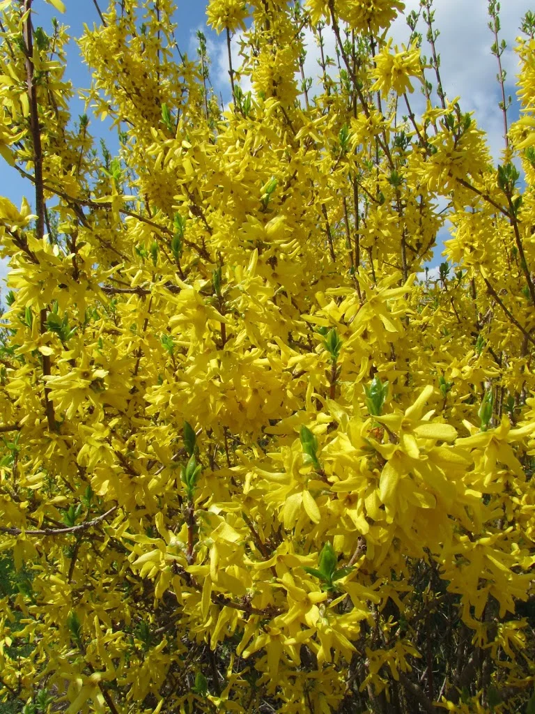 Simplify Your Life (part 1 of 2)