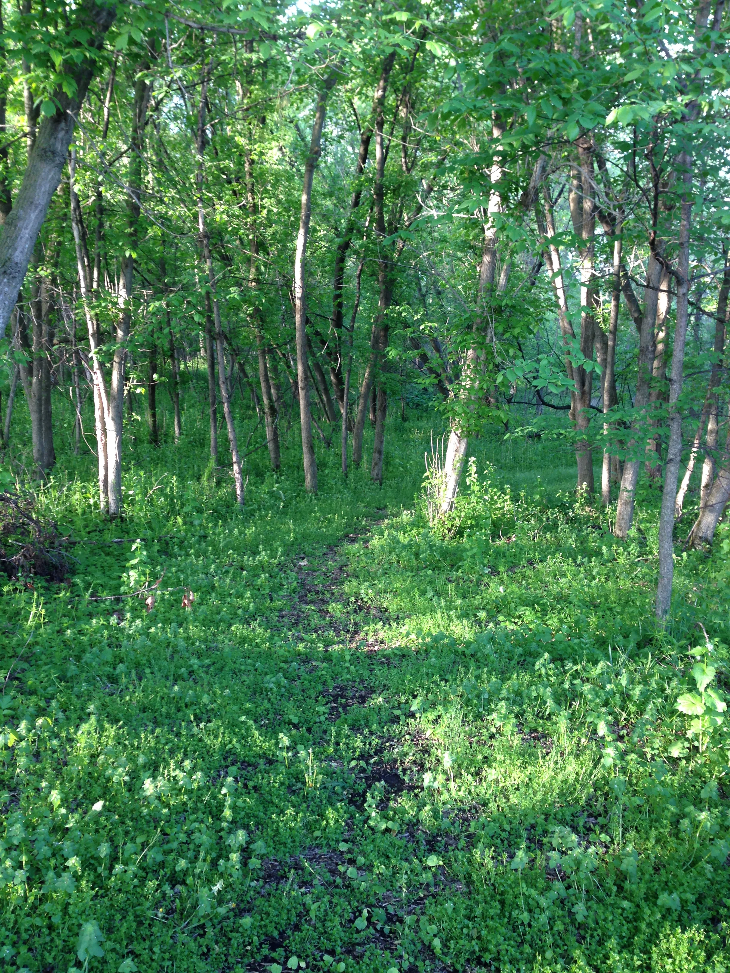 What's New on the Site