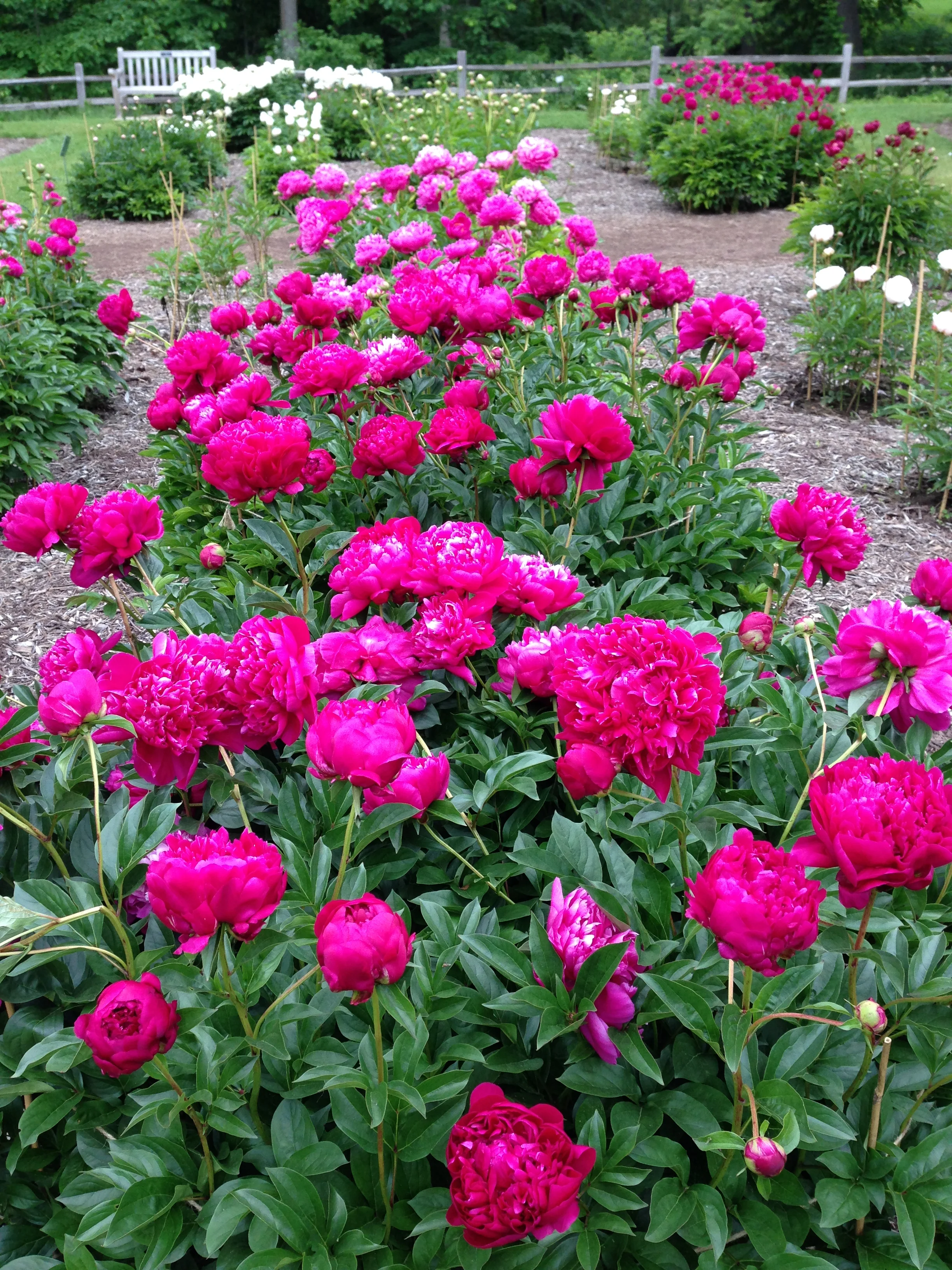 "Be a Tourist at Home"