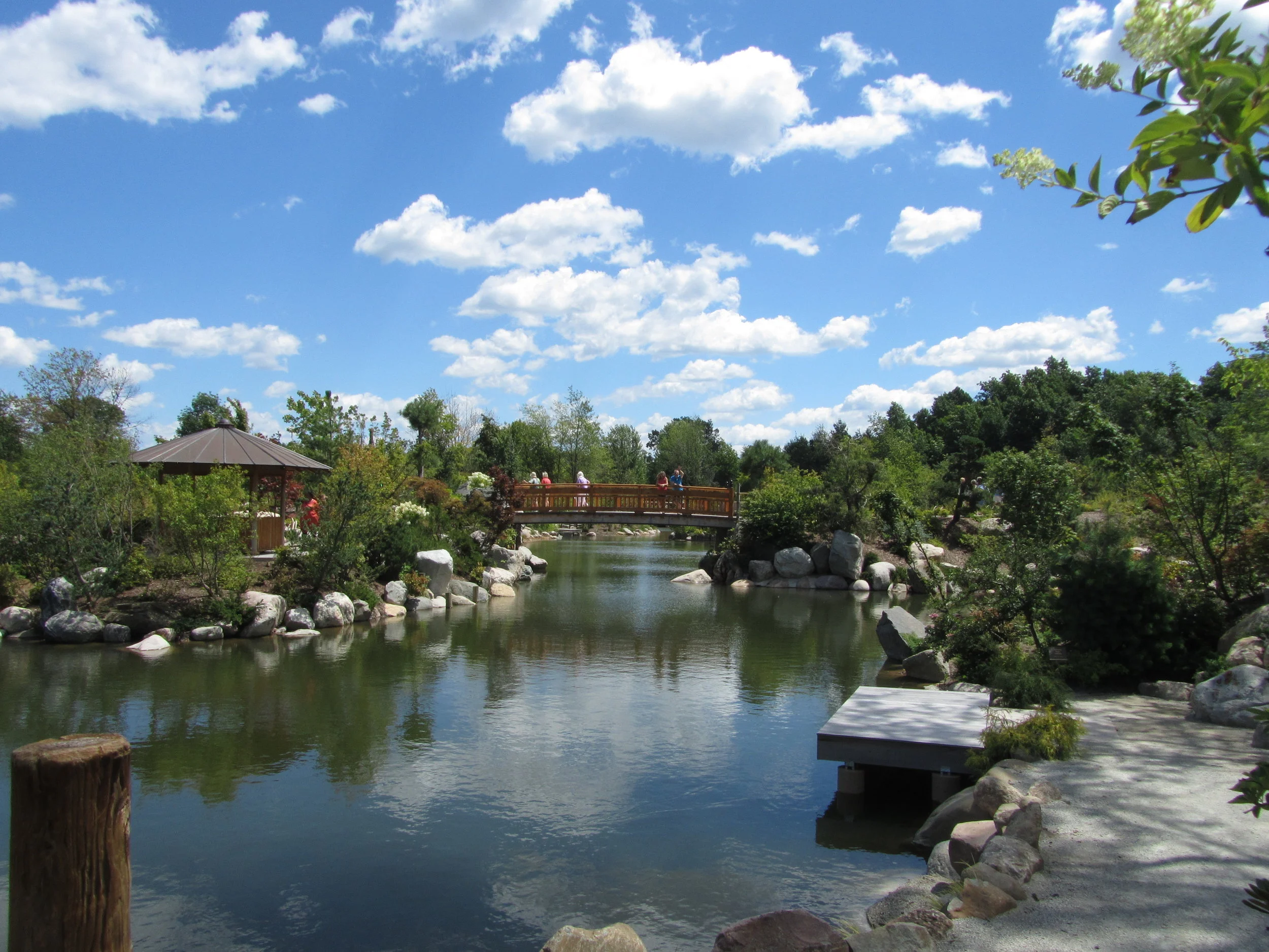 What I Learned This Summer