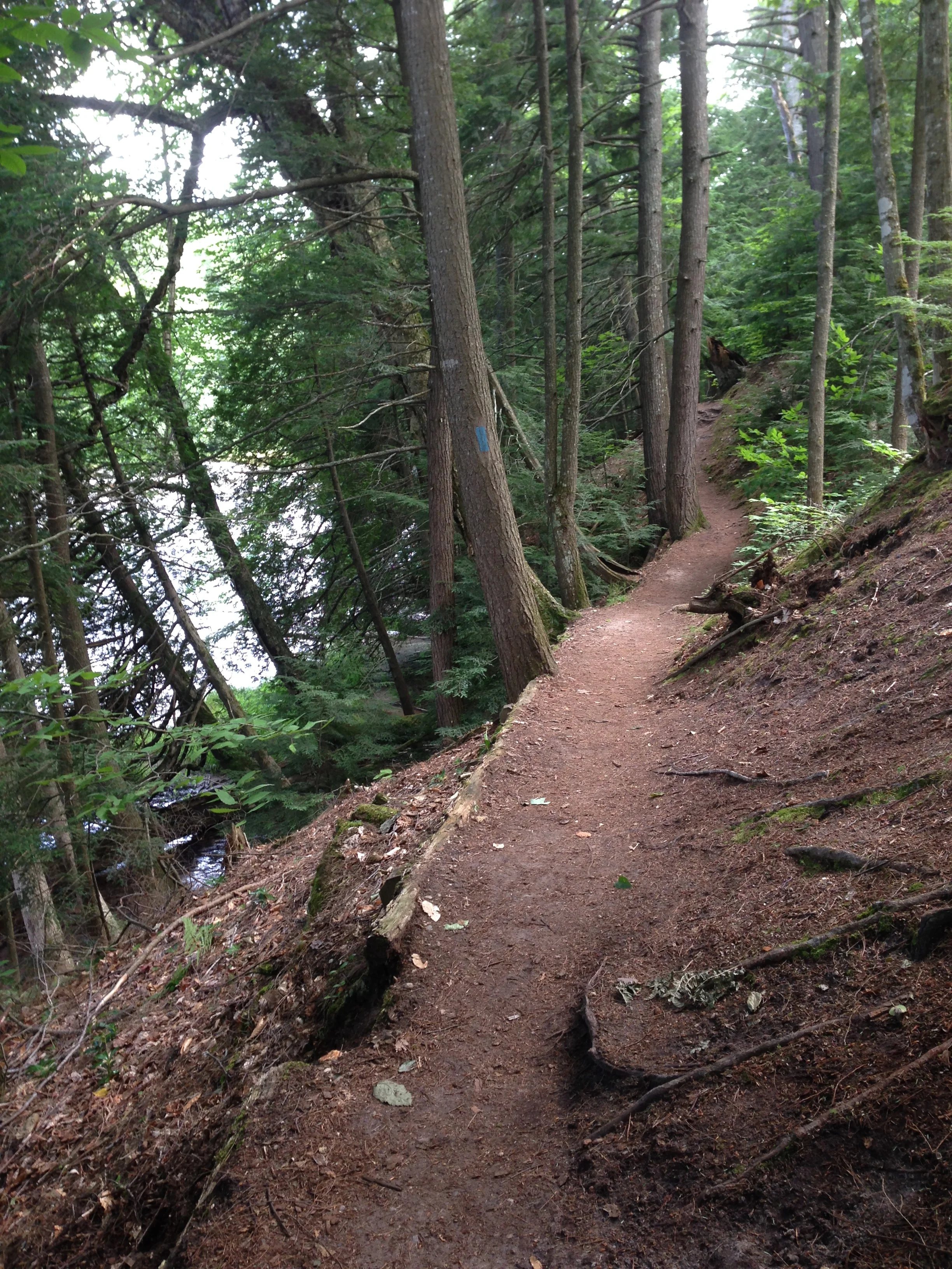 "We Can Do Hard Things"