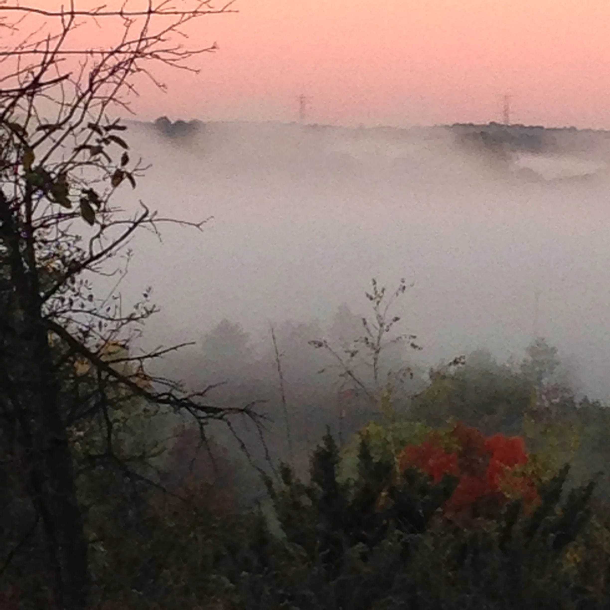 How to Find More Joy