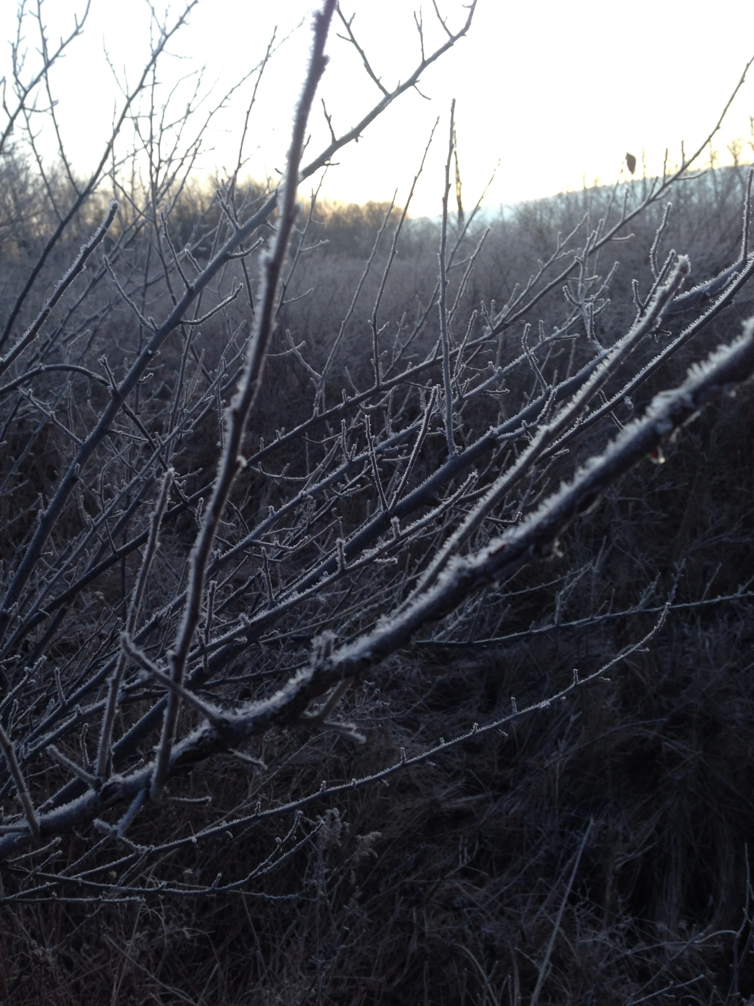 Living With Intention