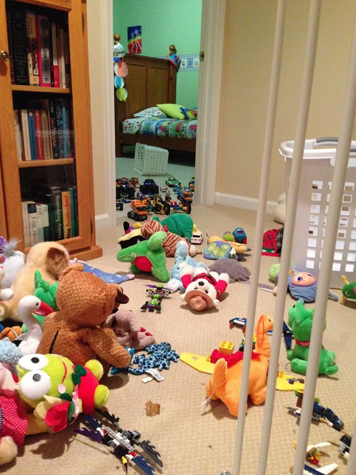 Dreaming of a Tidy Home