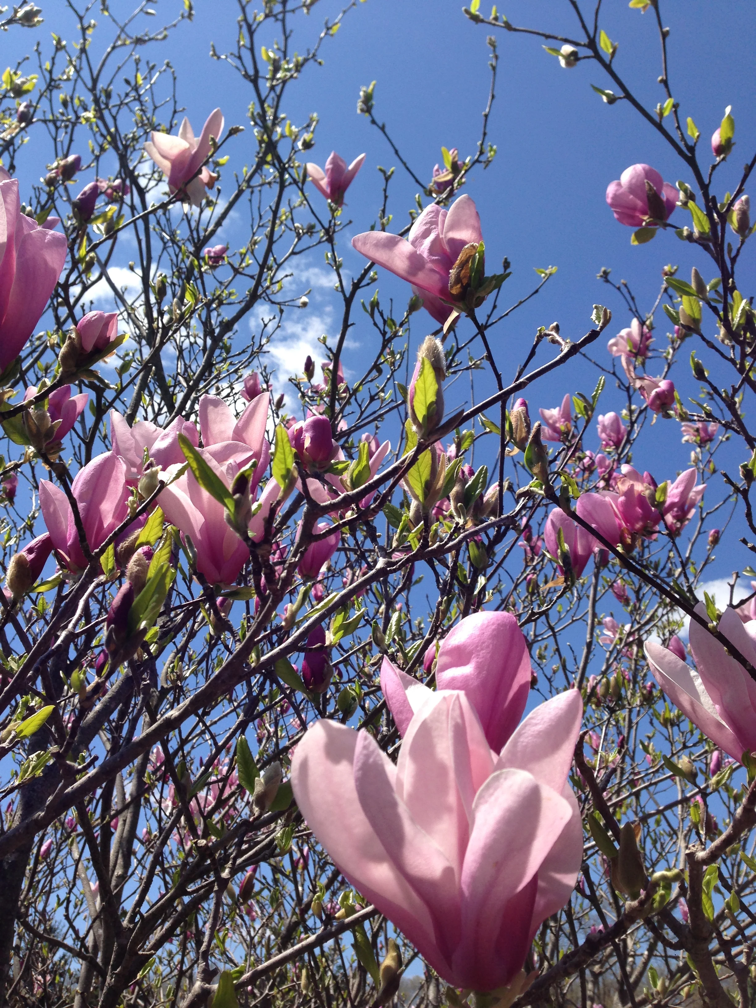 Feeling Content & In Control