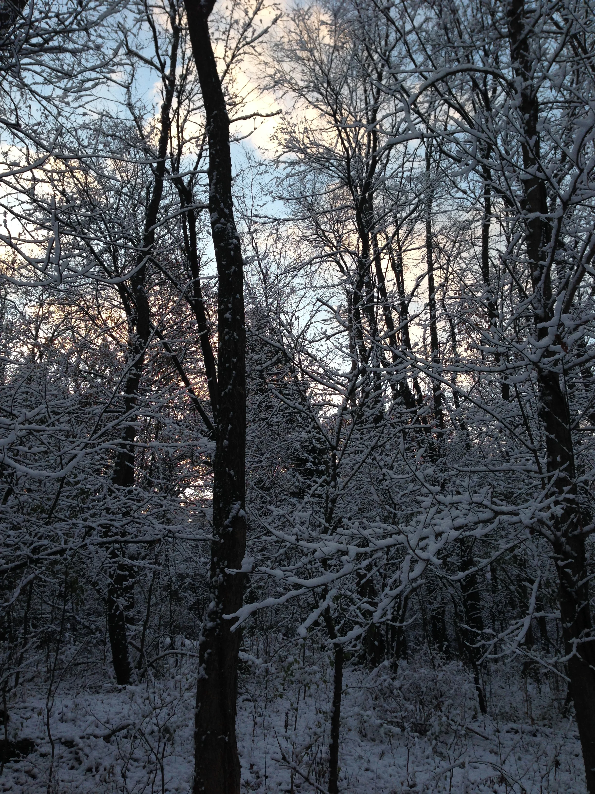 Learning to Say "No"