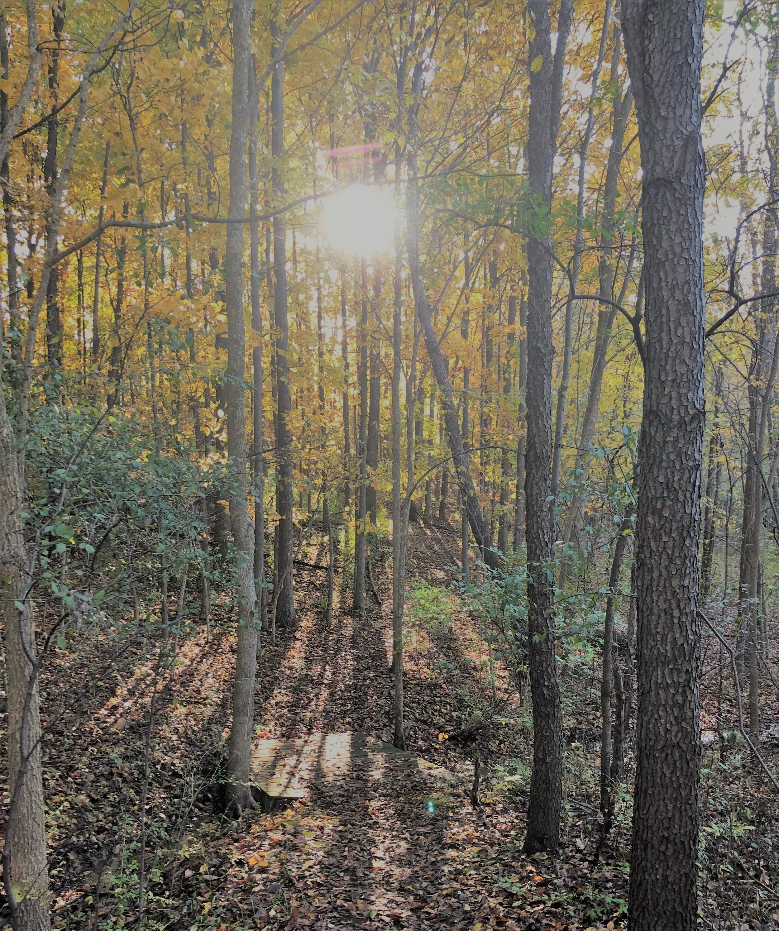Finding the Discipline to Get Things Done