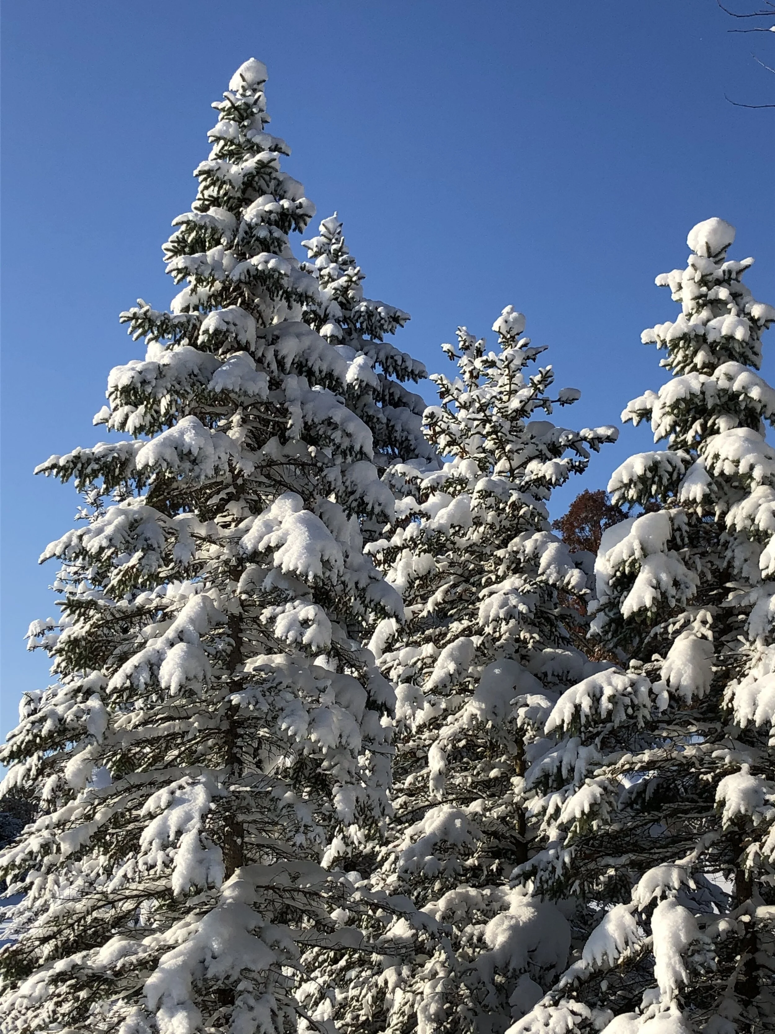 Announcing a Mini-Retreat