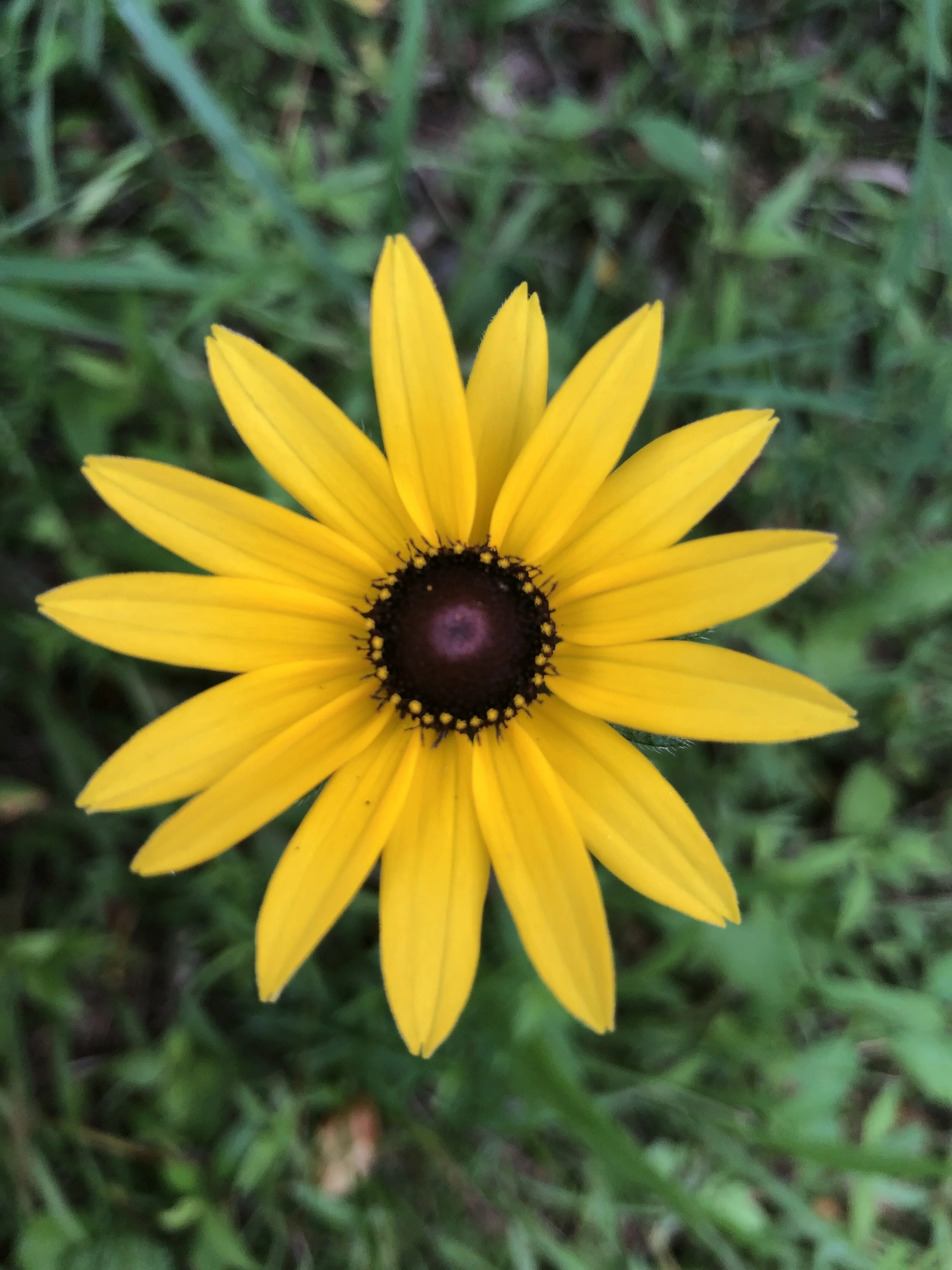 Quiet mornings allow me the space to notice all of the beauty this wonderful world has to offer.