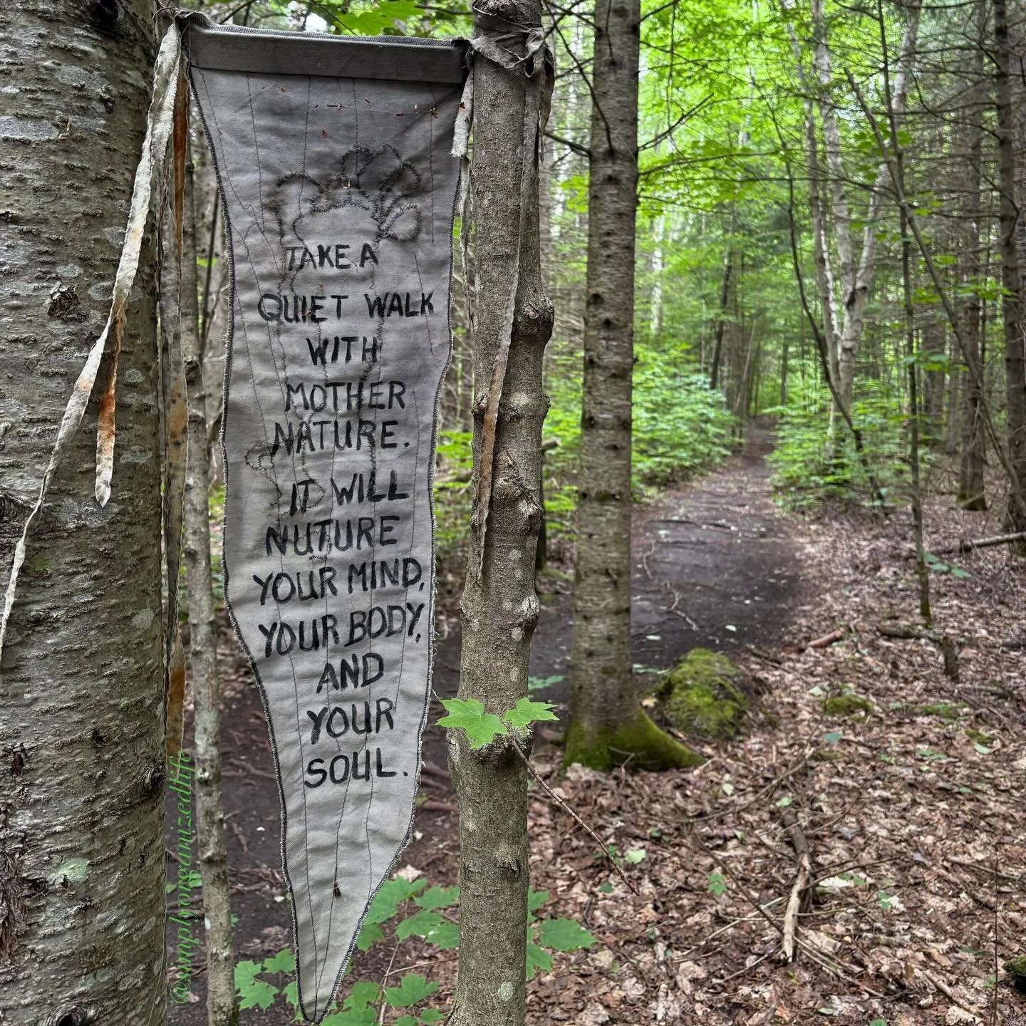 &ldquo;Take a quiet walk with Mother Nature. It will nurture your mind, your body, and your soul.&rdquo;

@haliburton_forest #simplyorganizedlife #explorecanada #travelontario #cottagecountry #forestbathing
