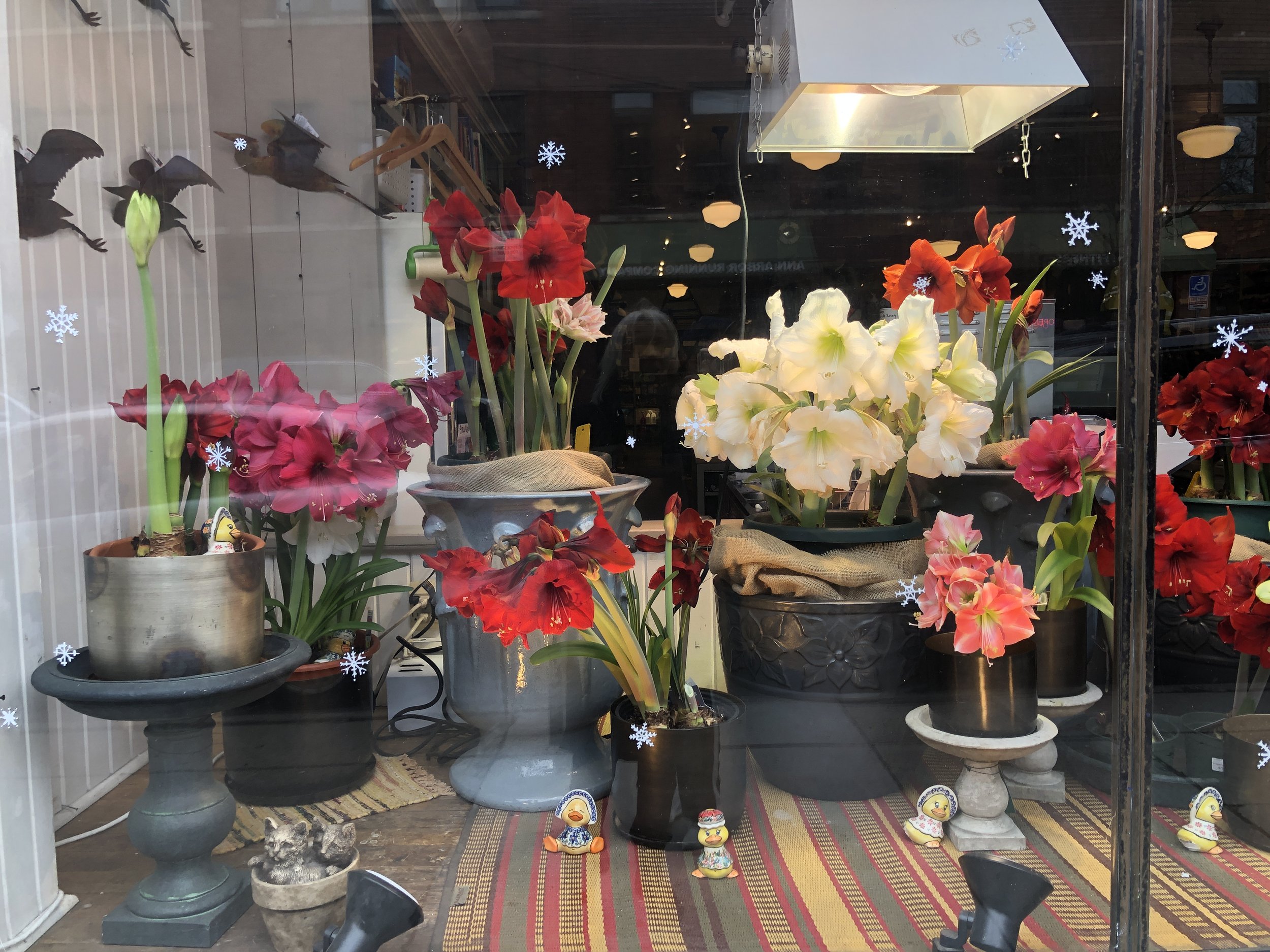 Hosting and Guesting