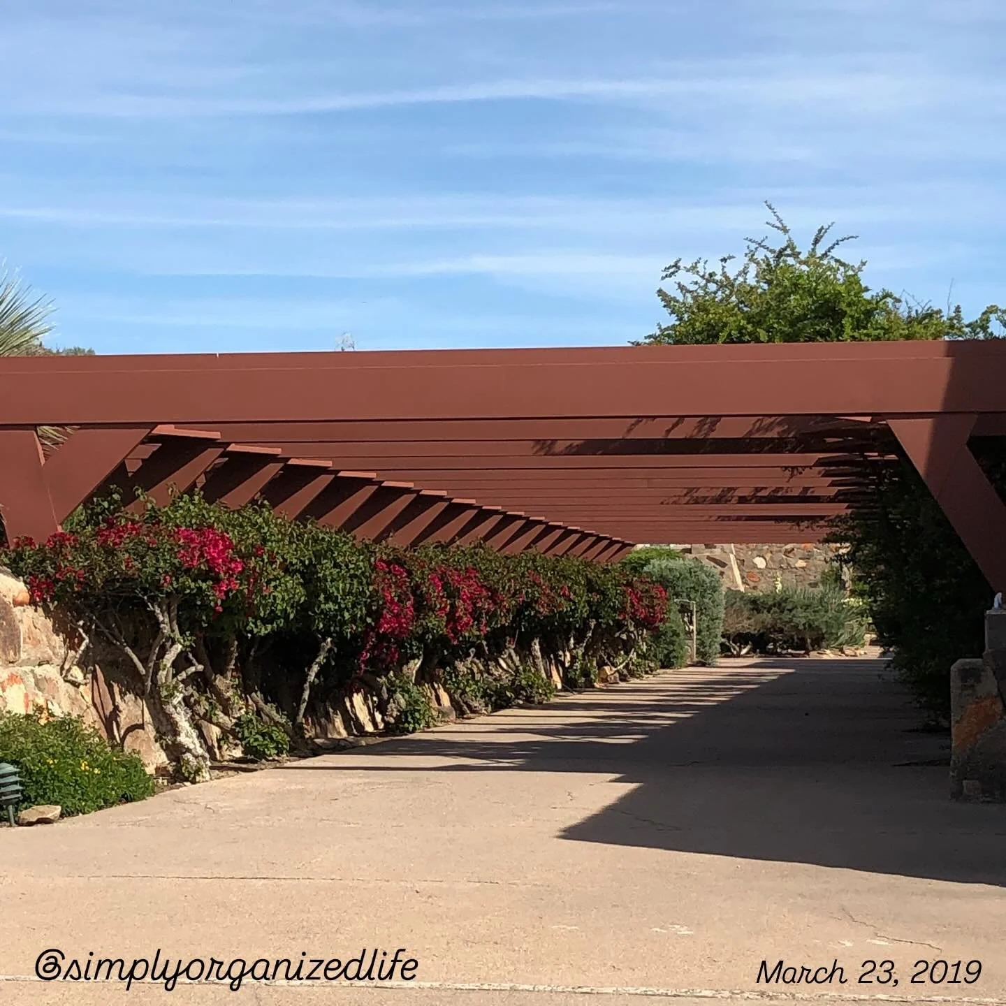 Every day for the last several weeks I have been typing the date (month and day only) into my Photos app on my phone. This practice has been surprisingly emotional, as I revisit years past and delete junk photos. 

March 23rd over the years has inclu