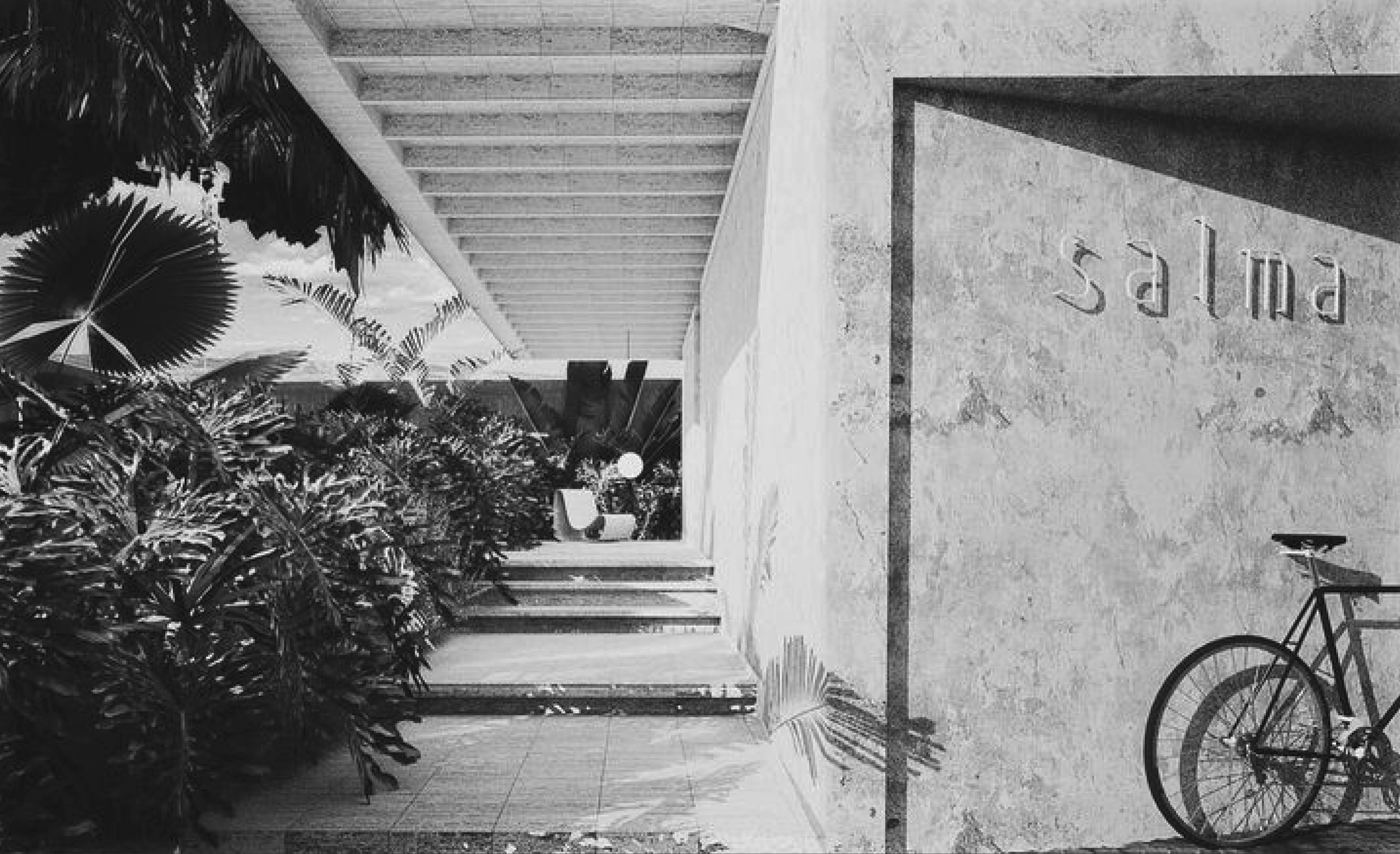 Bosques de Chapultepec, 2022