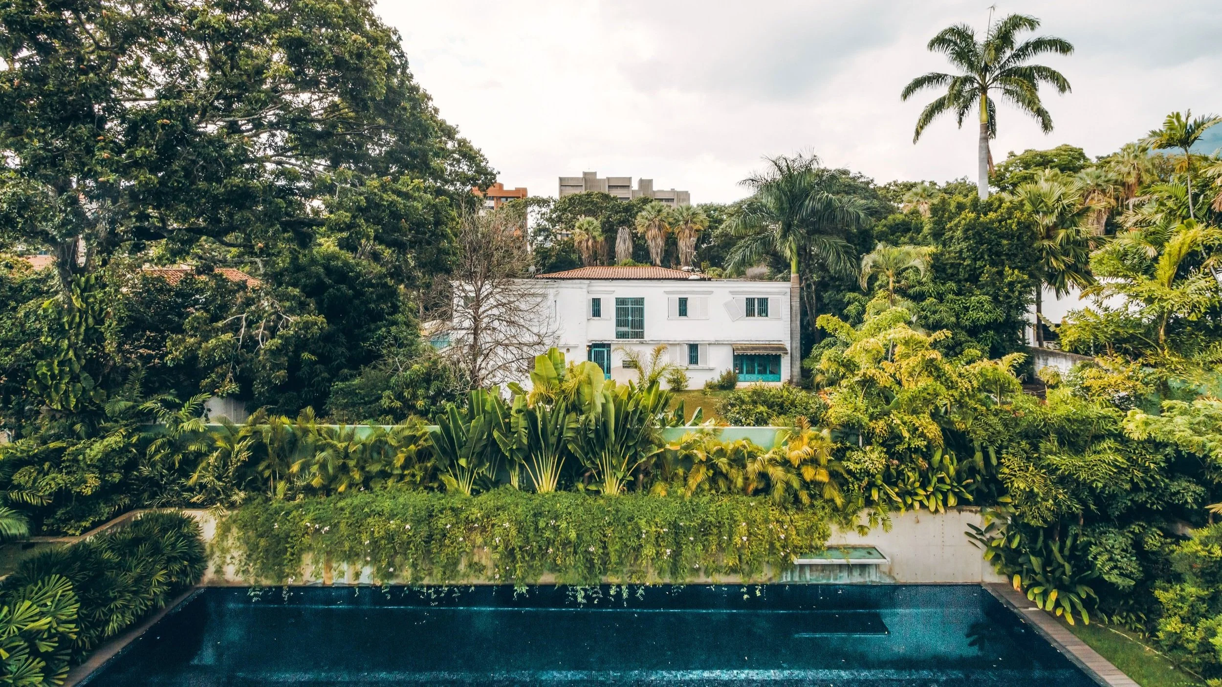 Jungles House - Details / Ccs, 2021
